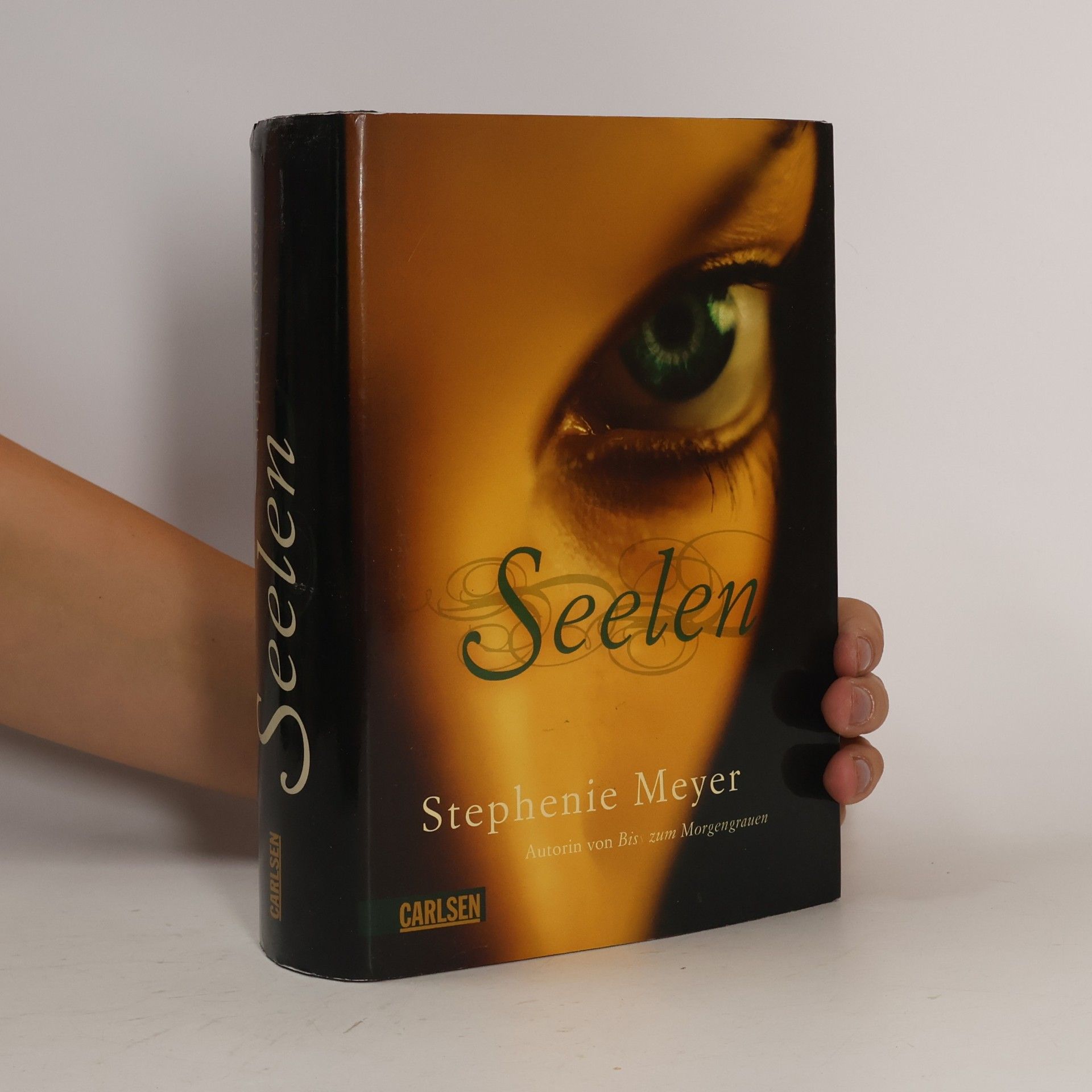 Stephenie Meyer Seelen