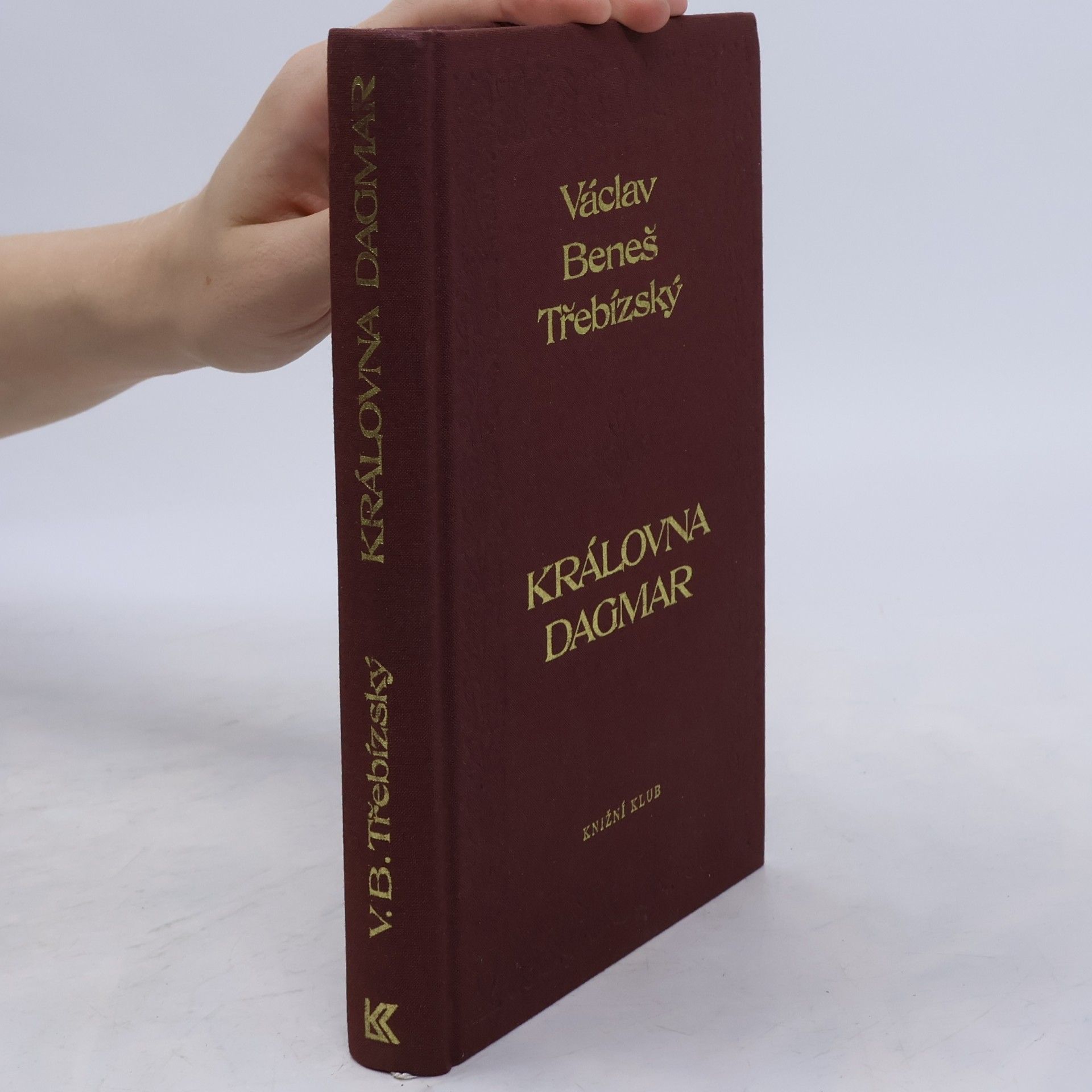 Václav Beneš Třebízský Královna Dagmar
