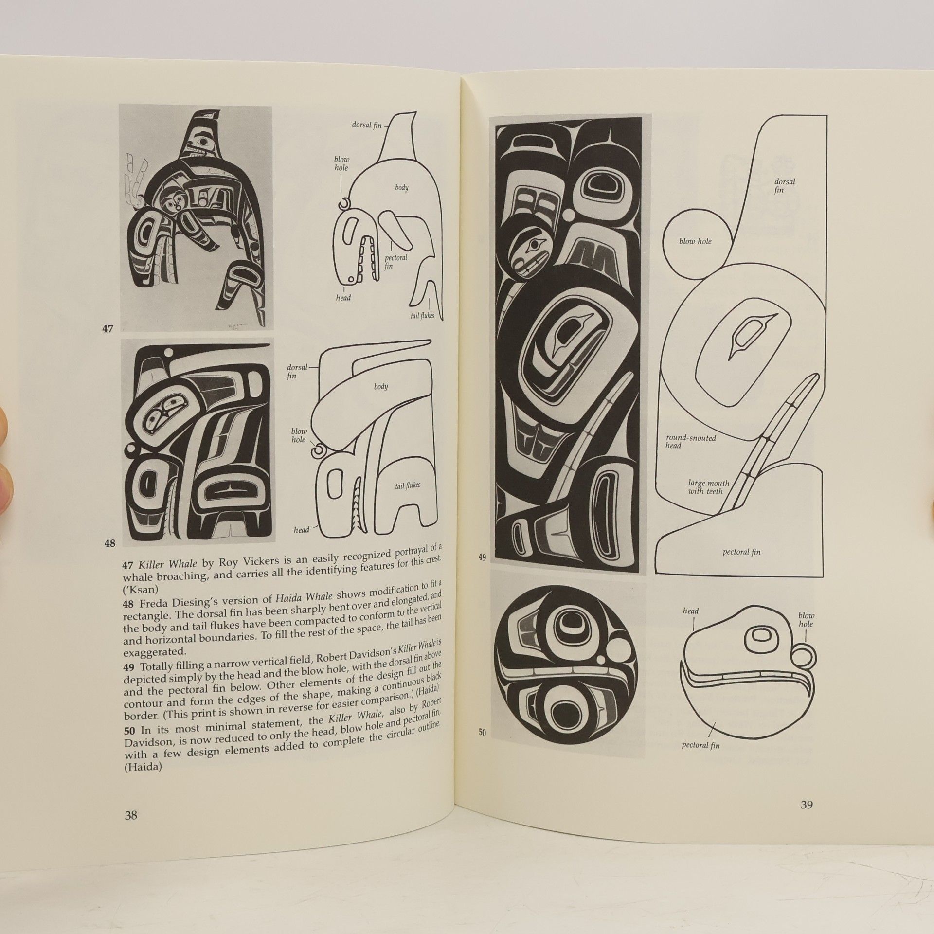 Hilary Stewart Looking at Indian art of the Northwest Coast