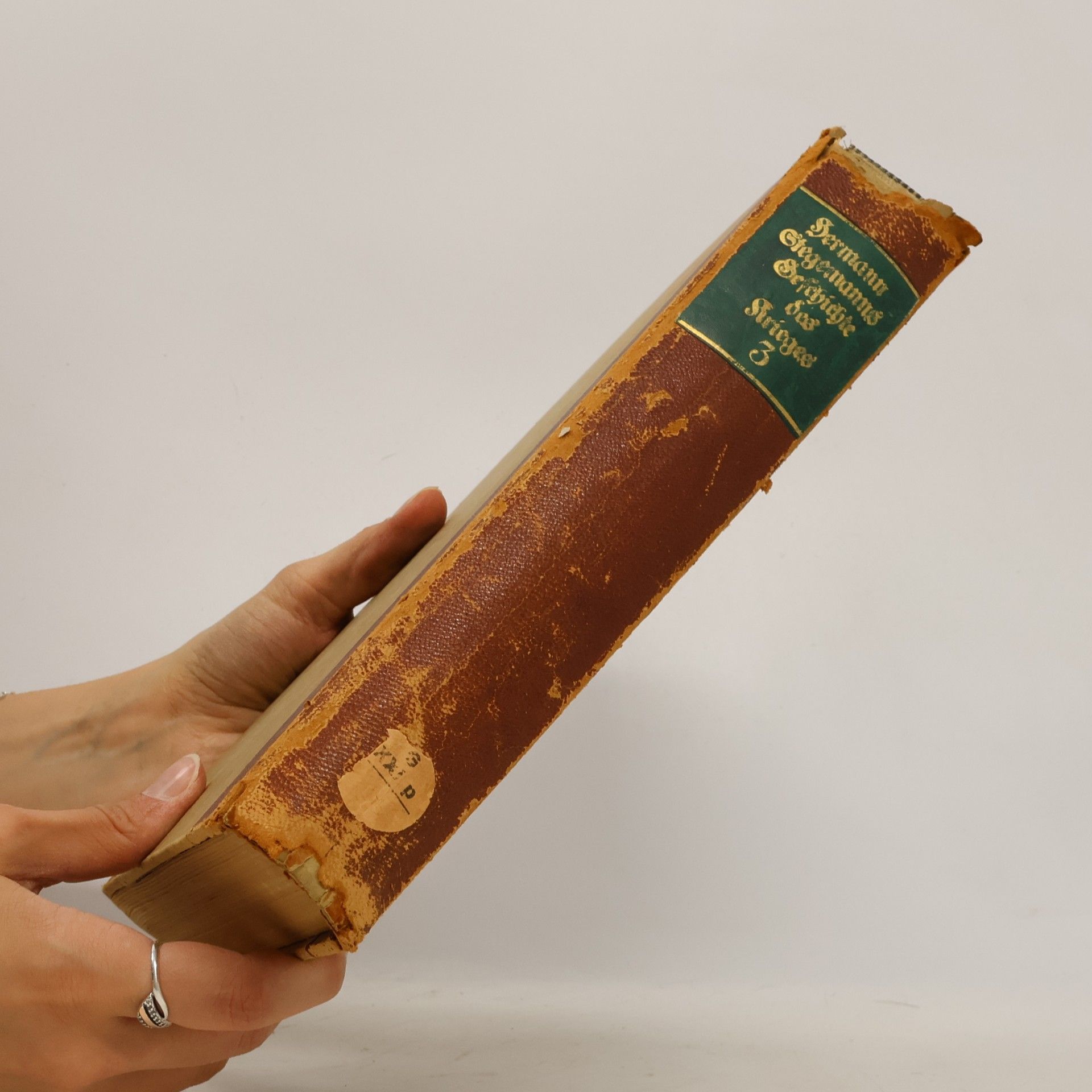 Hermann Stegemann Geschichte des Krieges. Dritter Band