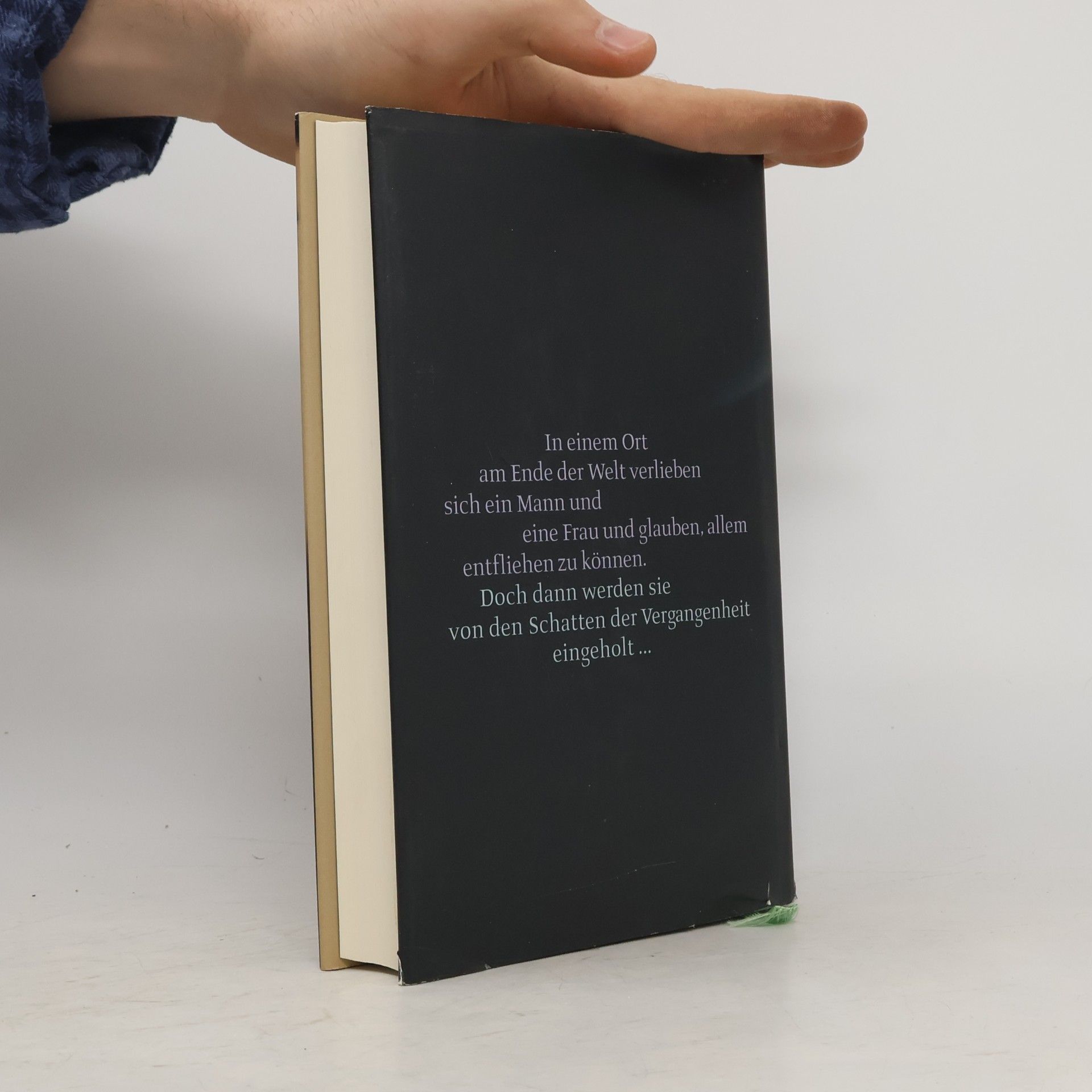 Janice Deaner Die Schatten der Vergangenheit