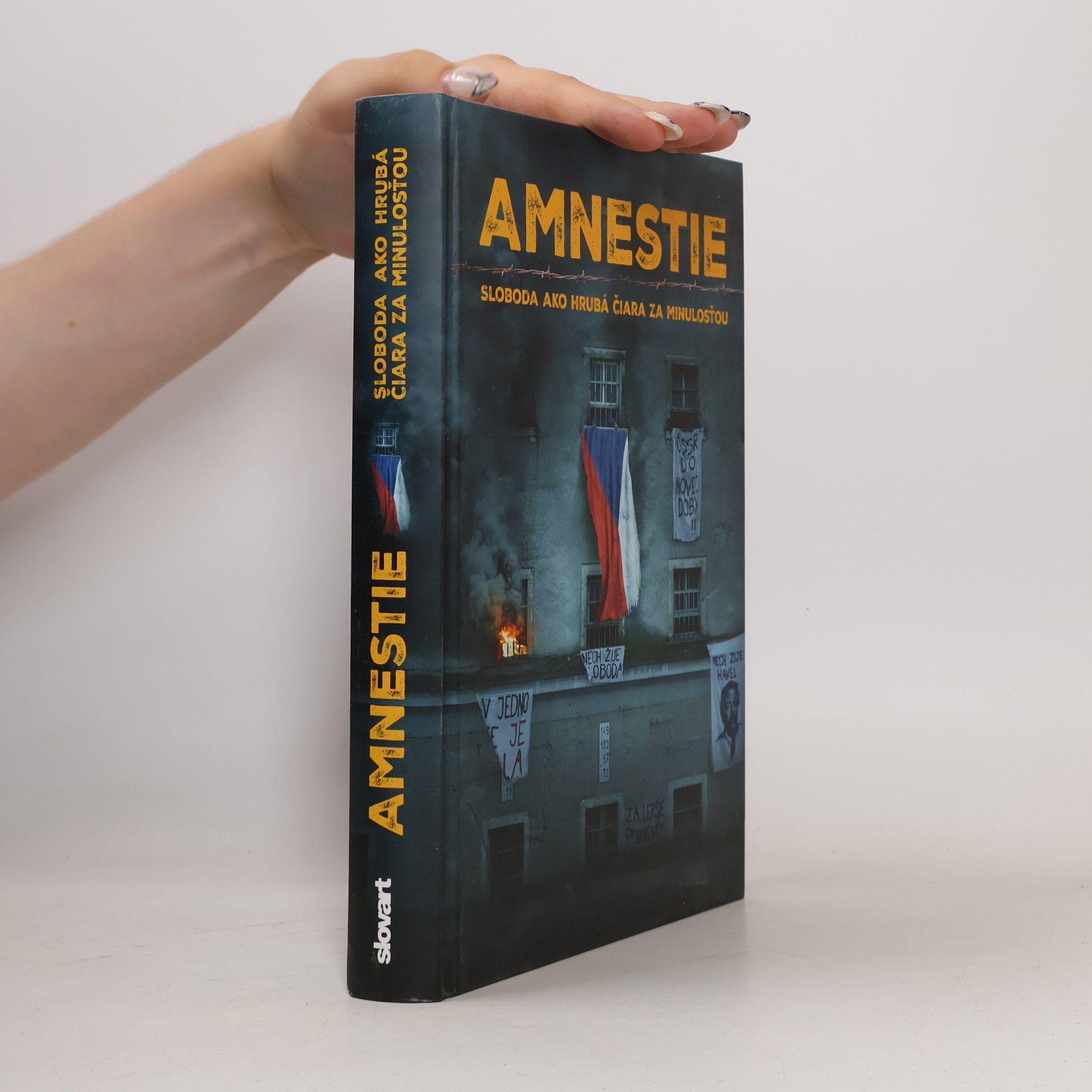 AA.VV. Amnestie - Sloboda ako hrubá čiara za minulosťou
