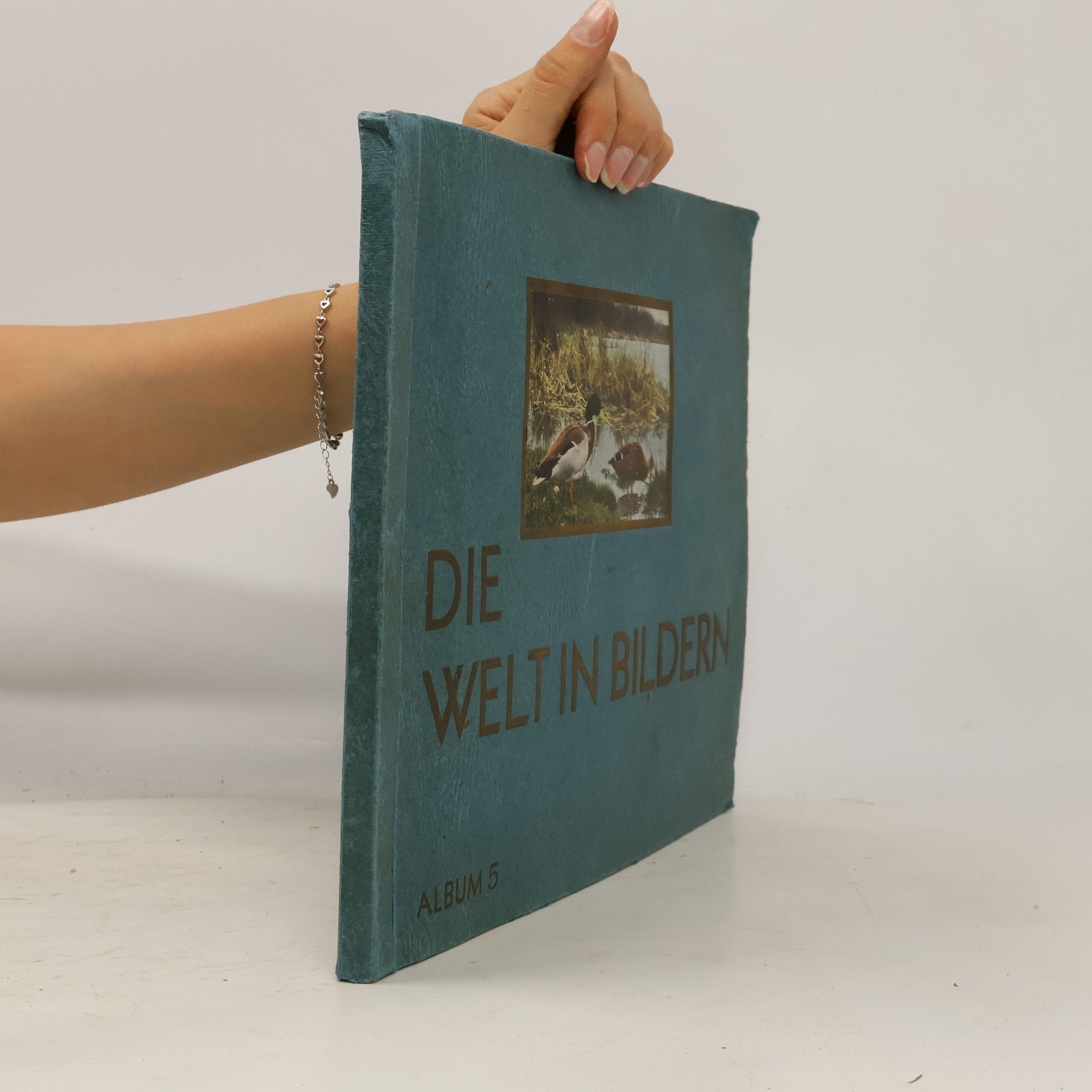 Die Welt in Bildern