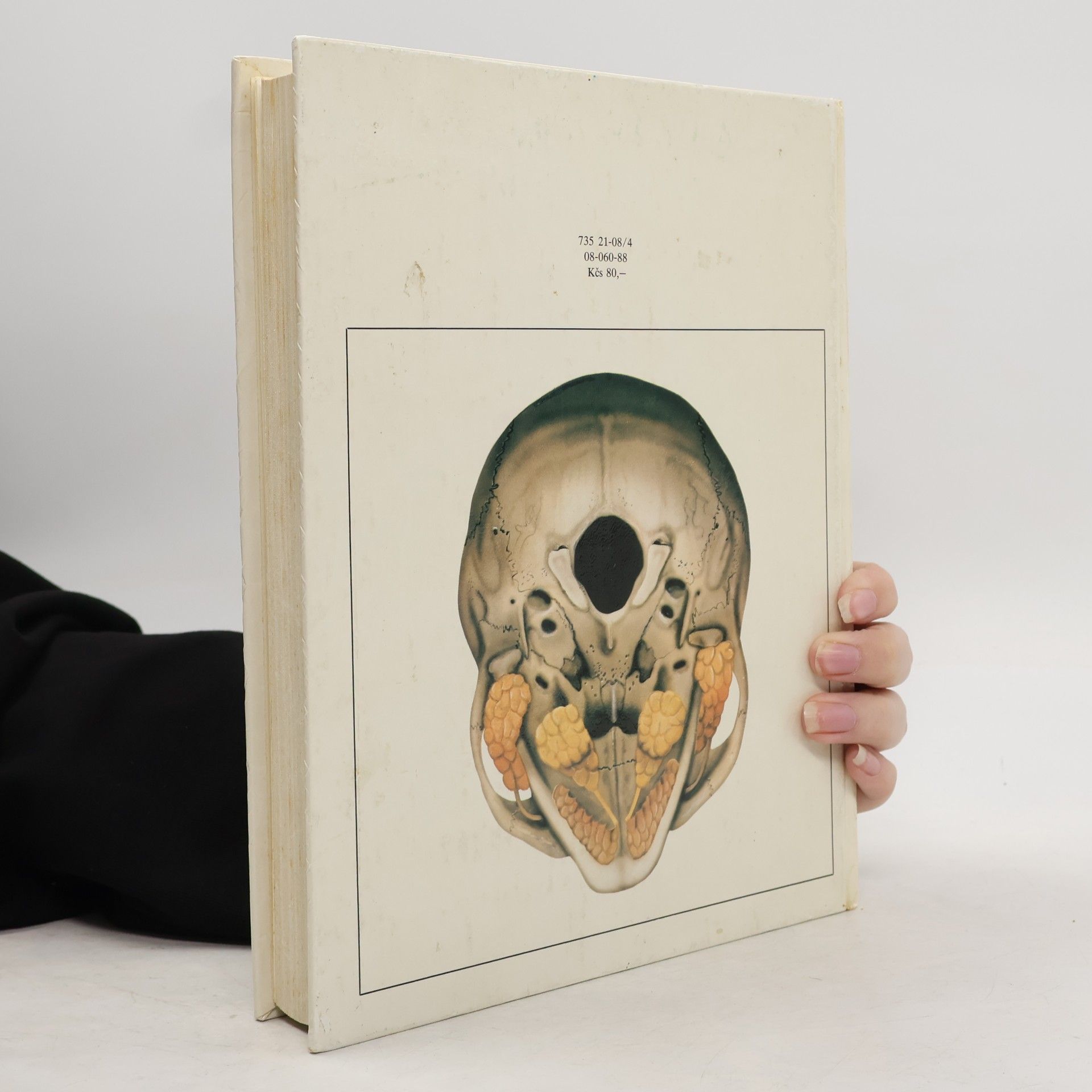 Radomír Čihák Anatomie 2