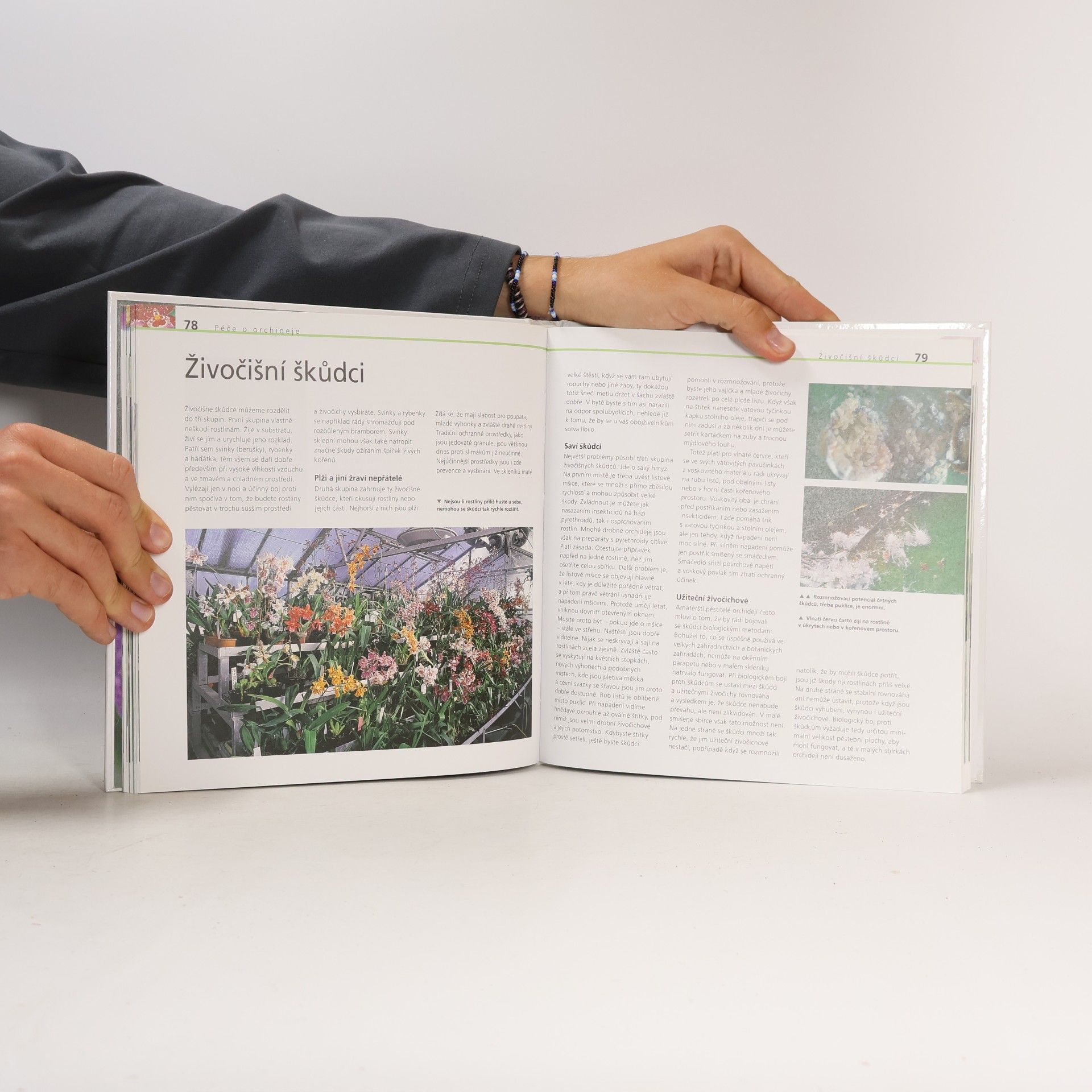 Joachim Erfkamp Kouzelné orchideje