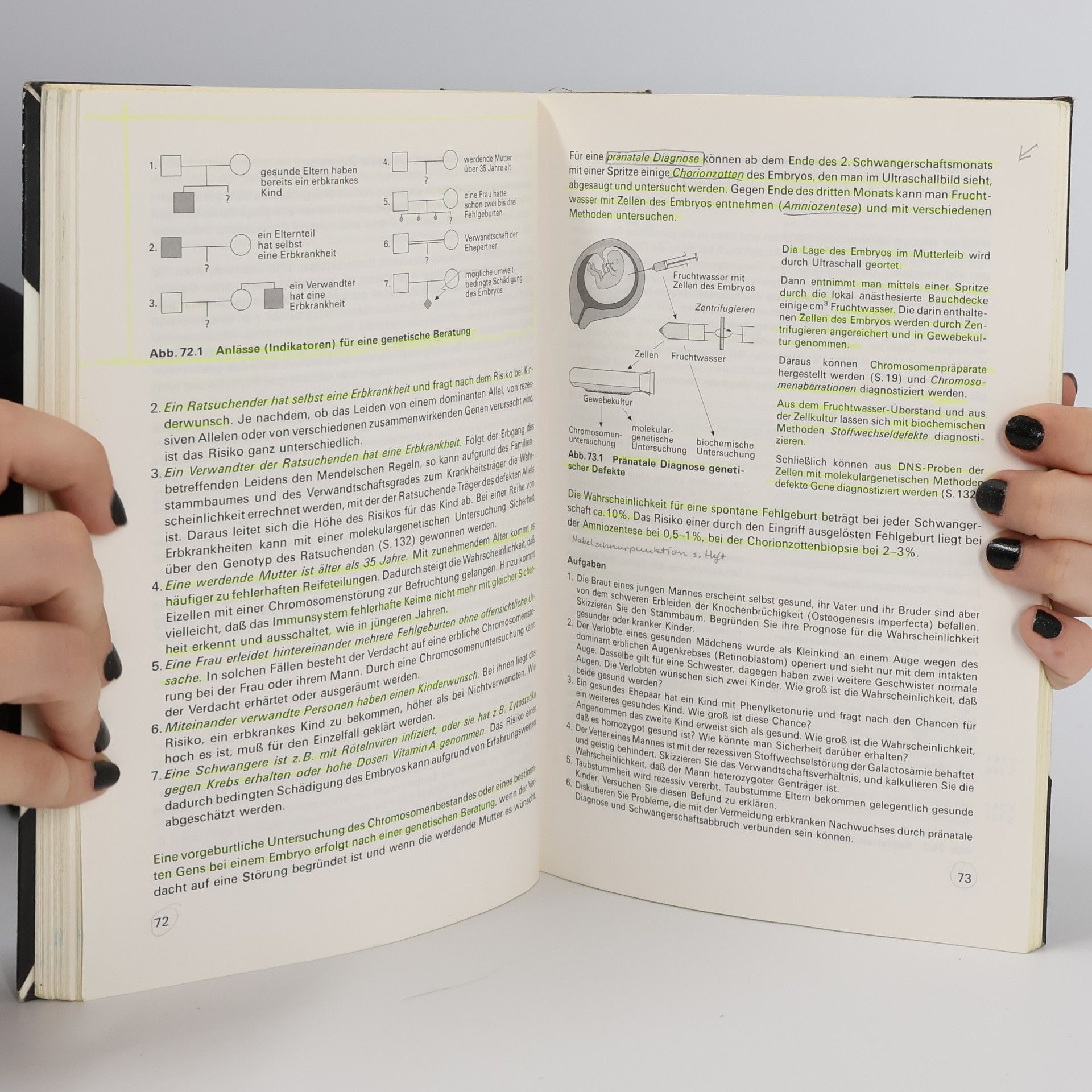 Karl Daumer bsv Biologie für die gymnasiale Oberstufe: bsv Biologie: Genetik