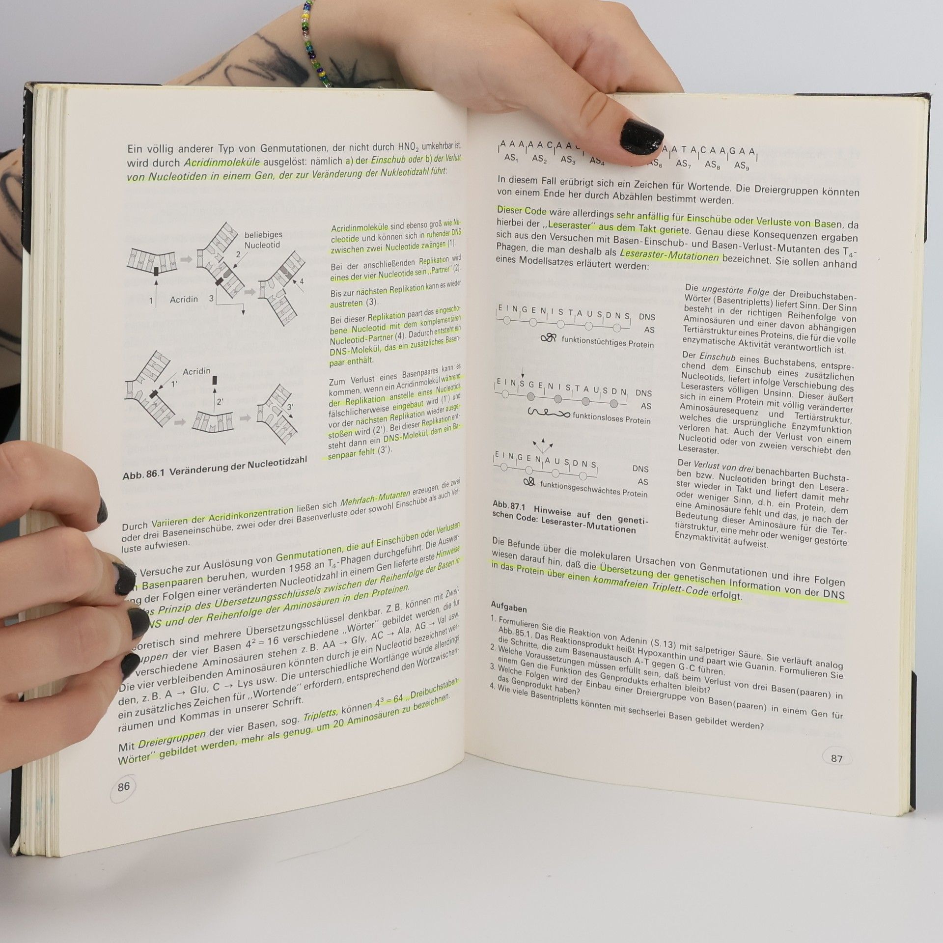 Karl Daumer bsv Biologie für die gymnasiale Oberstufe: bsv Biologie: Genetik