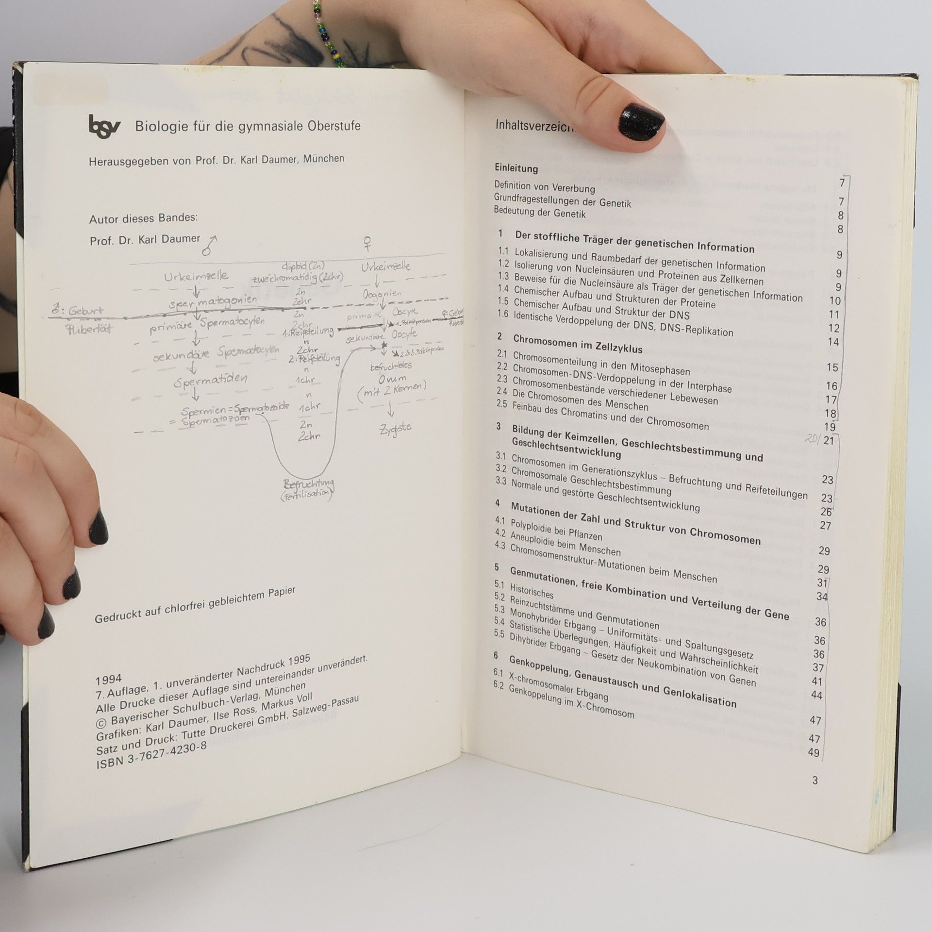 Karl Daumer bsv Biologie für die gymnasiale Oberstufe: bsv Biologie: Genetik