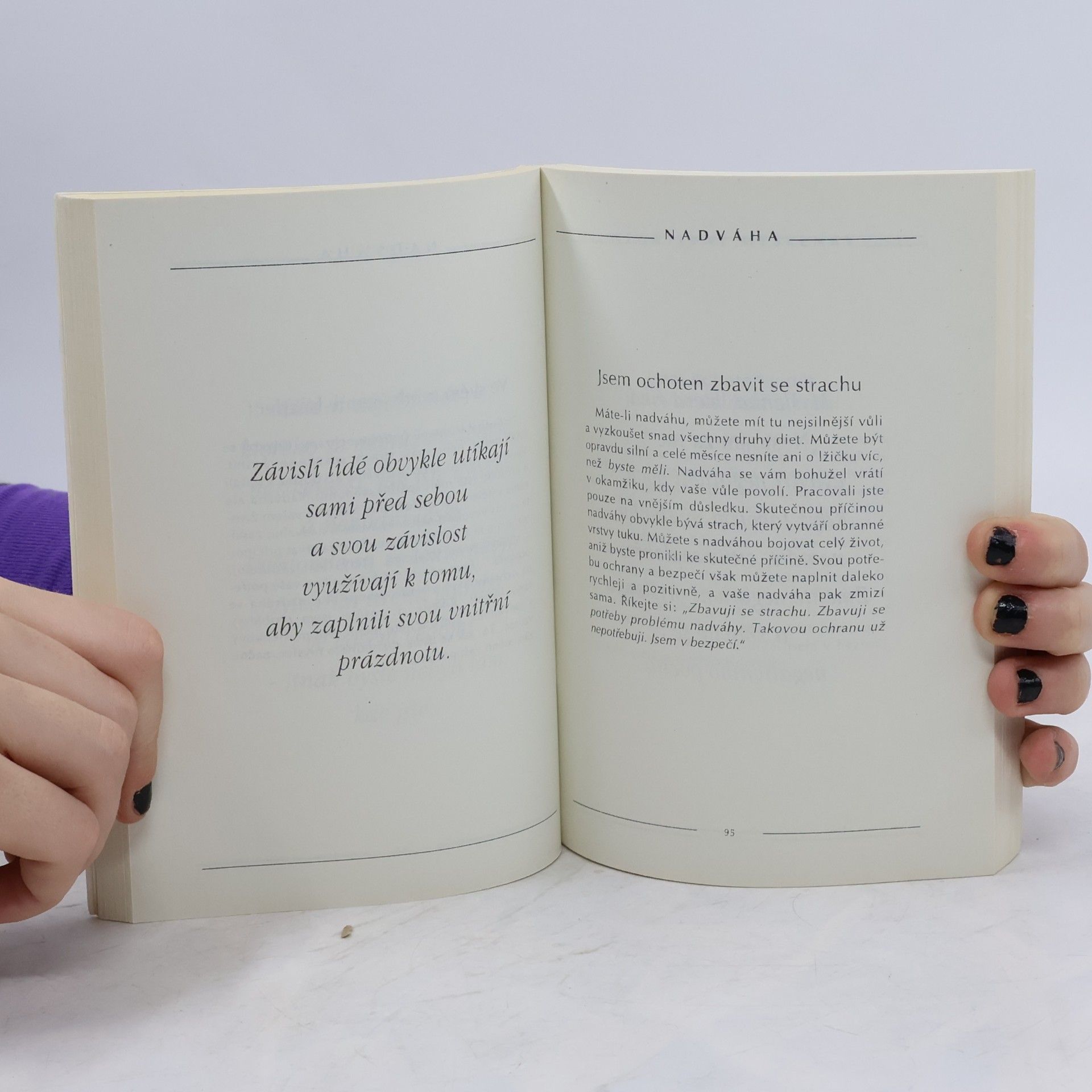 Louise Lynn Hay Myšlenky srdce