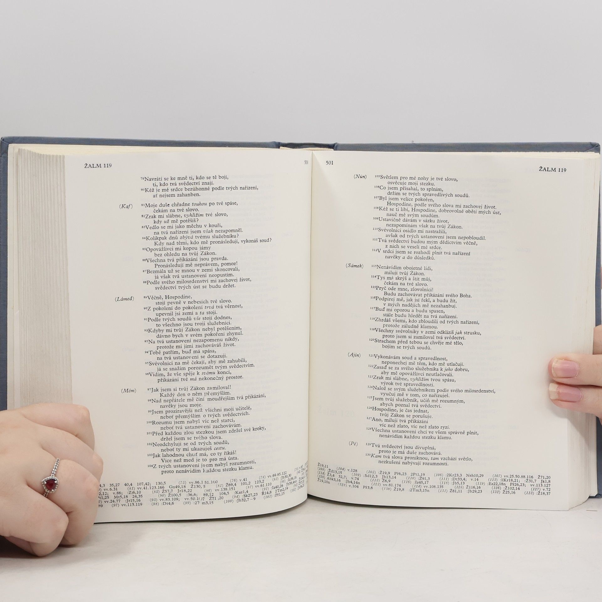 Kolektív autorov Bible