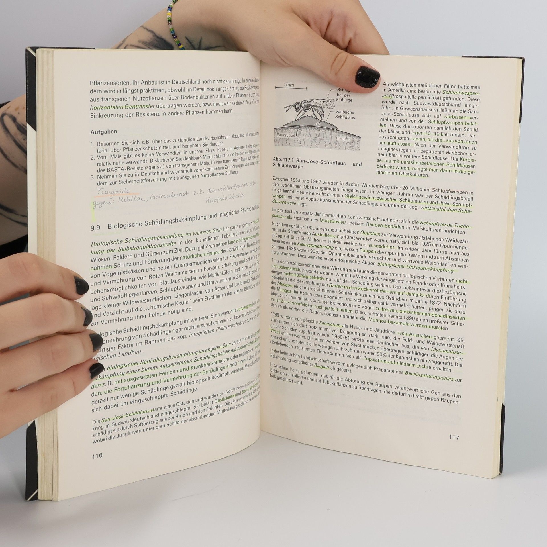 Daumer bsv Biologie für die gymnasiale Oberstufe: Stoffwechsel, Ökologie und Umweltschutz