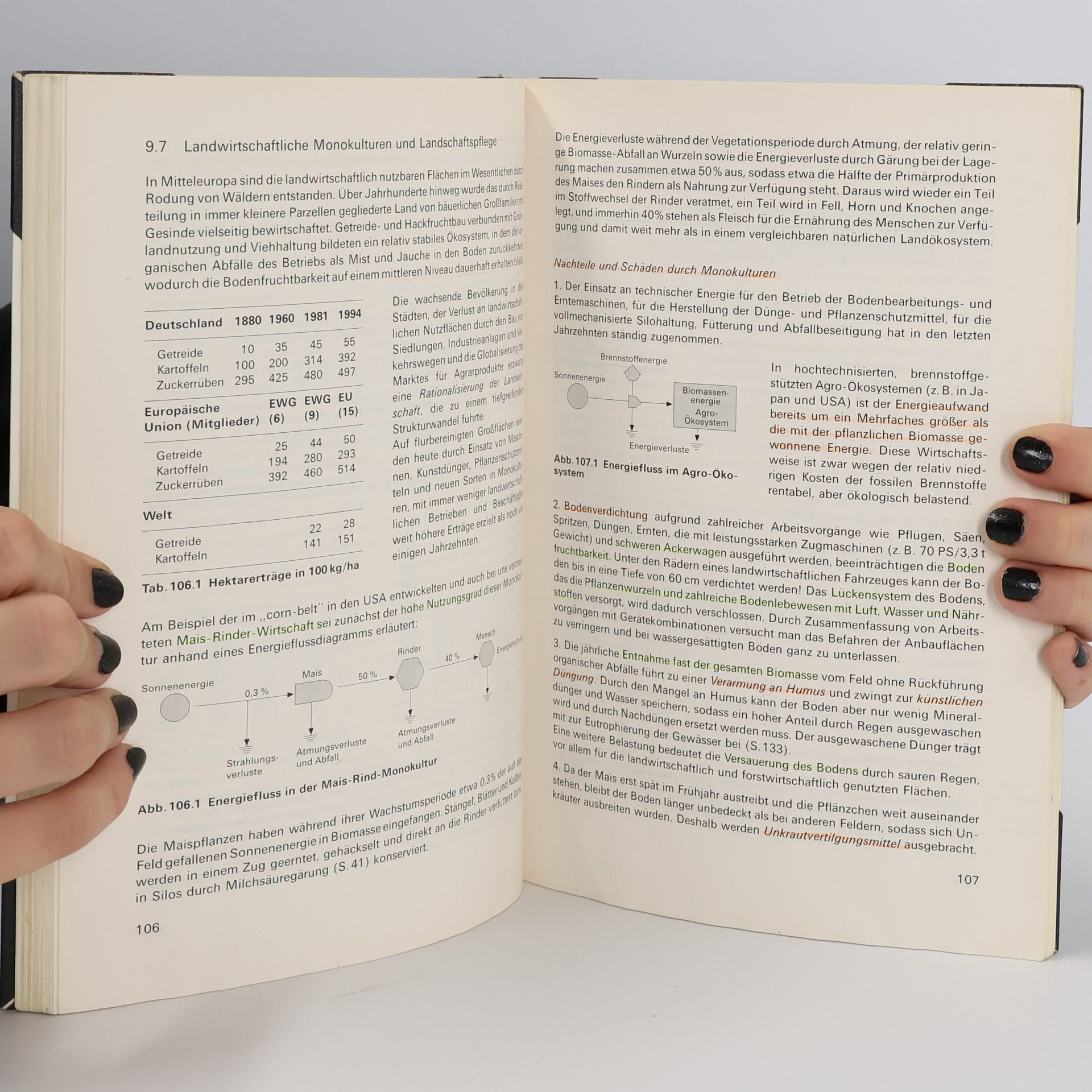 Daumer bsv Biologie für die gymnasiale Oberstufe: Stoffwechsel, Ökologie und Umweltschutz
