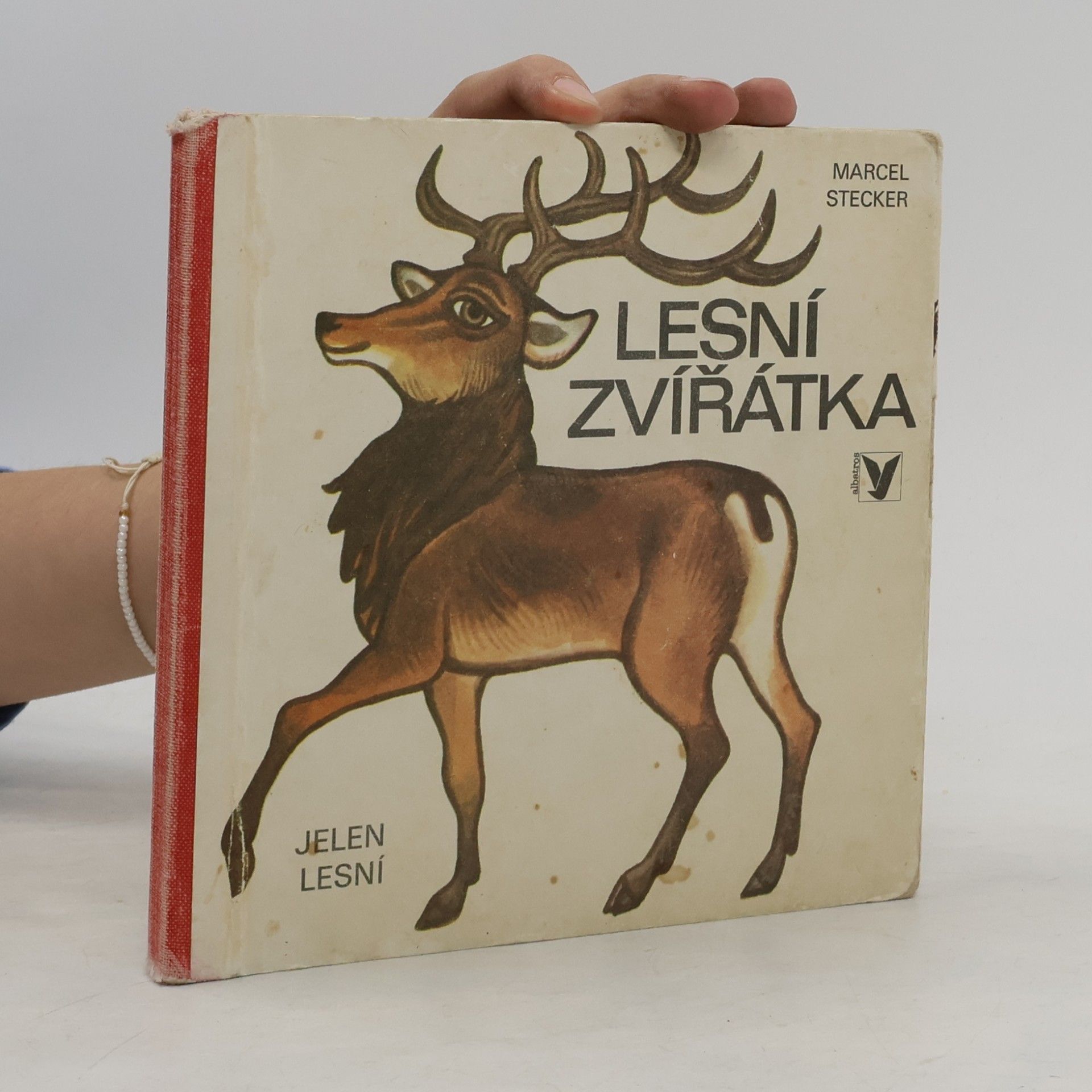 Marcel Stecker Lesní zvířátka
