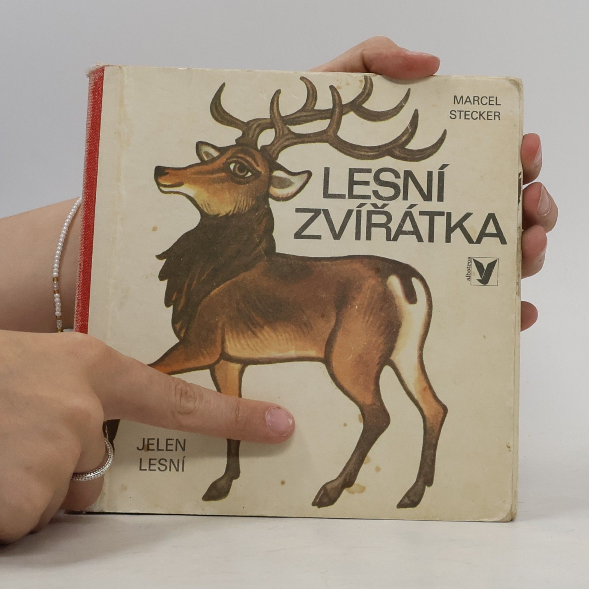 Marcel Stecker Lesní zvířátka
