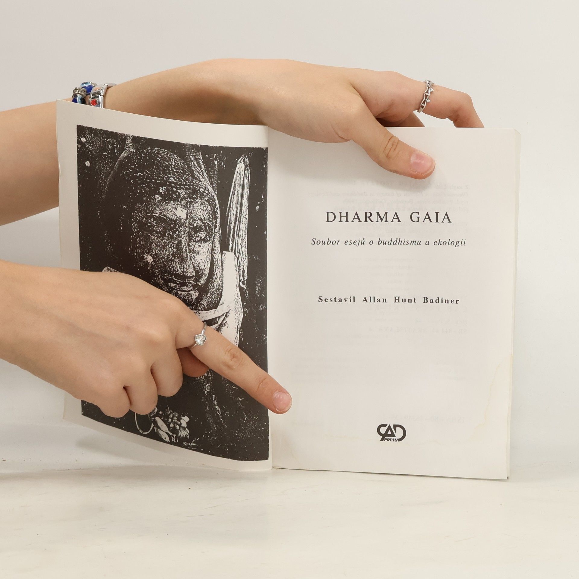 Allan Hunt Badiner Dharma Gaia: soubor esejů o buddhismu a ekologii