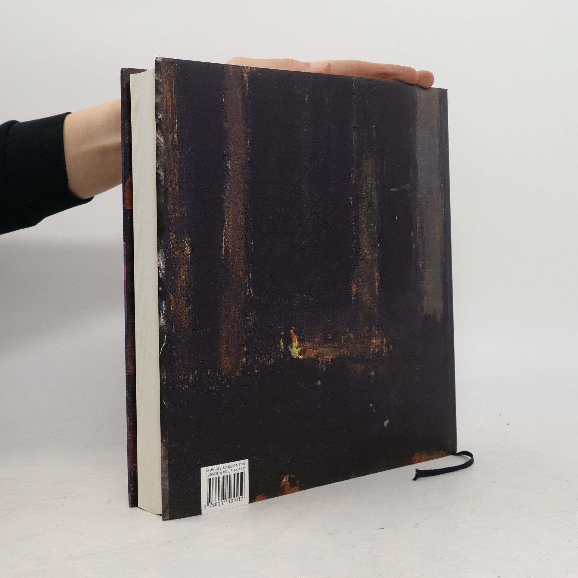 Petr Wittlich Sváry zření - fazety modernity na přelomu 19. a 20. století
