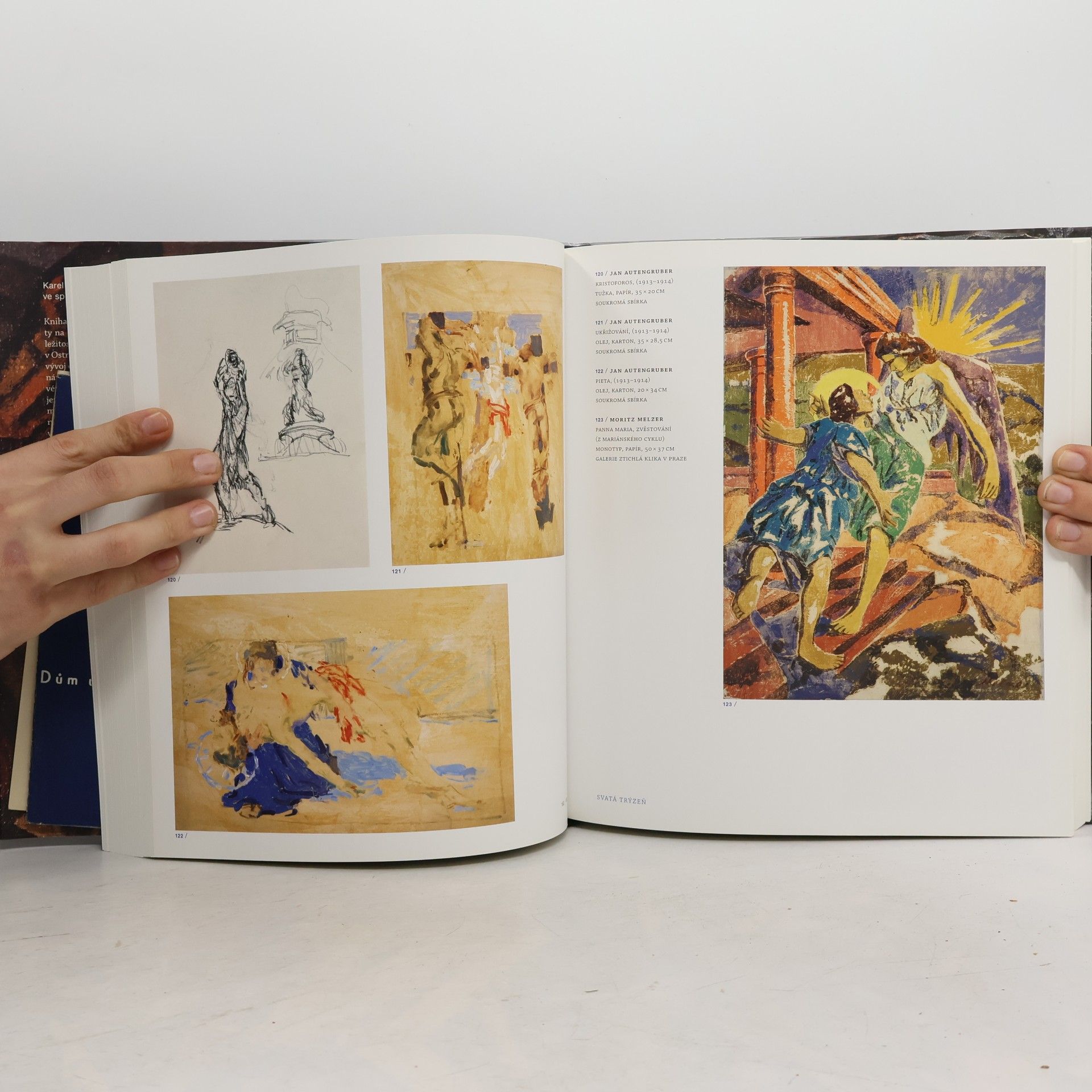 Petr Wittlich Sváry zření - fazety modernity na přelomu 19. a 20. století