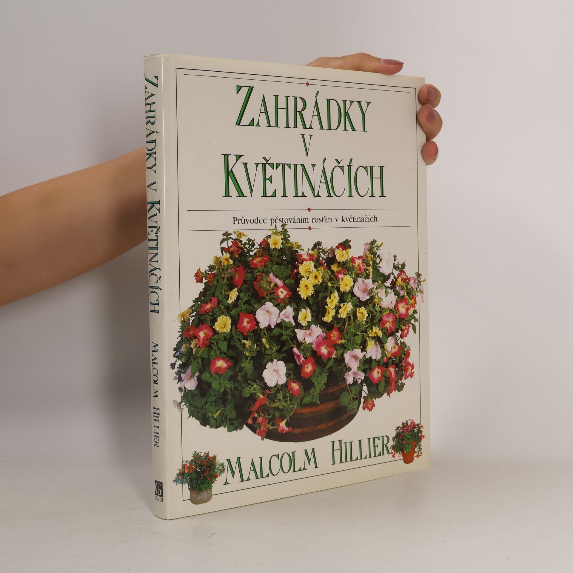 Zahrádky v květináčích