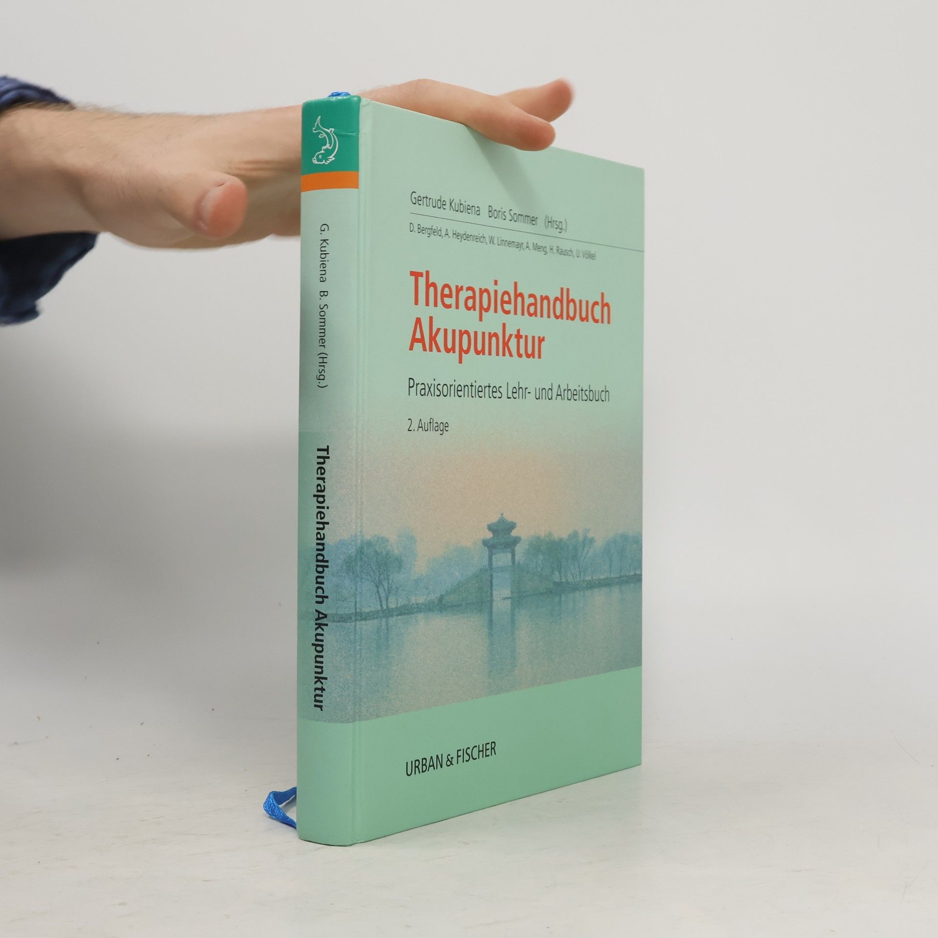 U. Völkel Therapiehandbuch Akupunktur