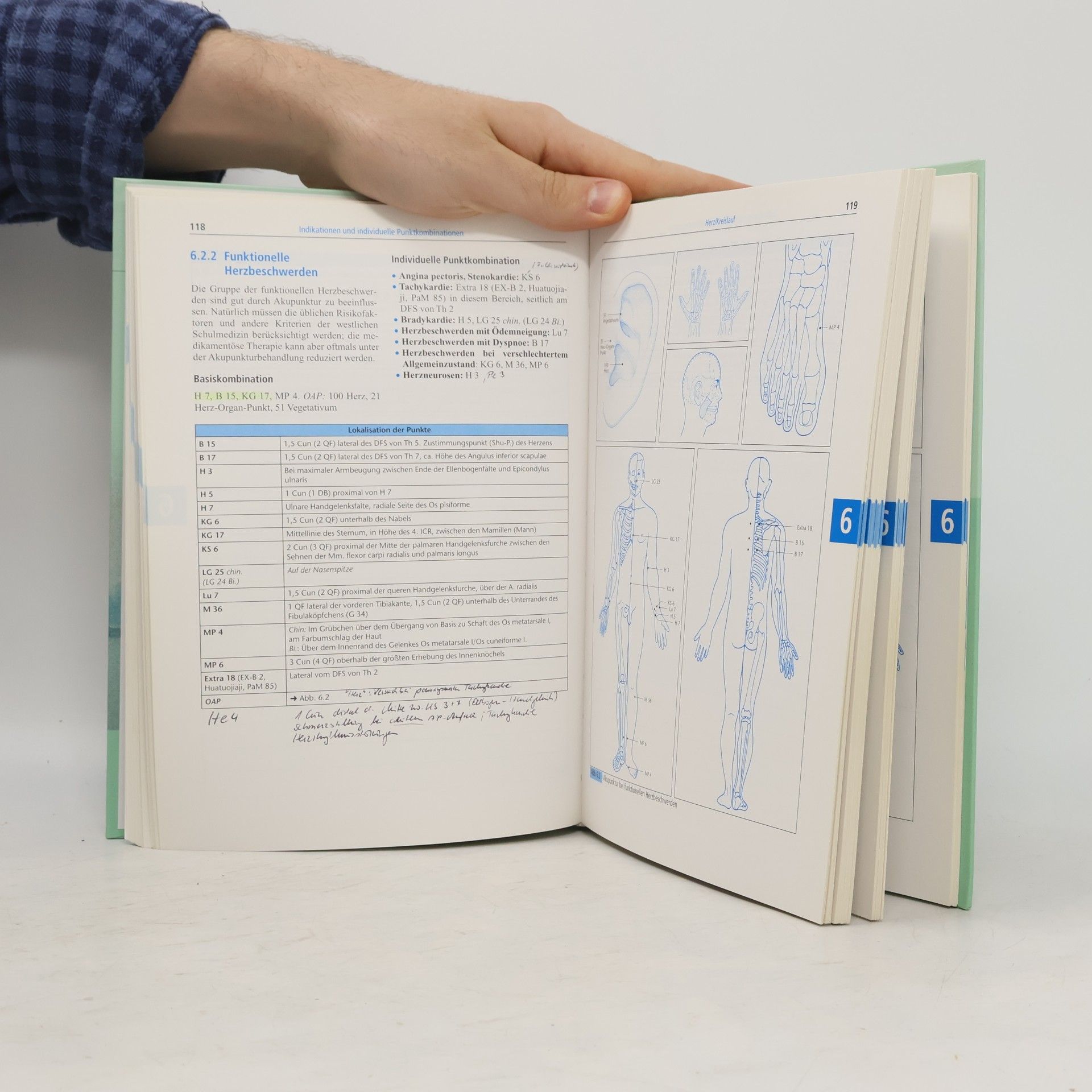 Gertrude Kubiena Therapiehandbuch Akupunktur