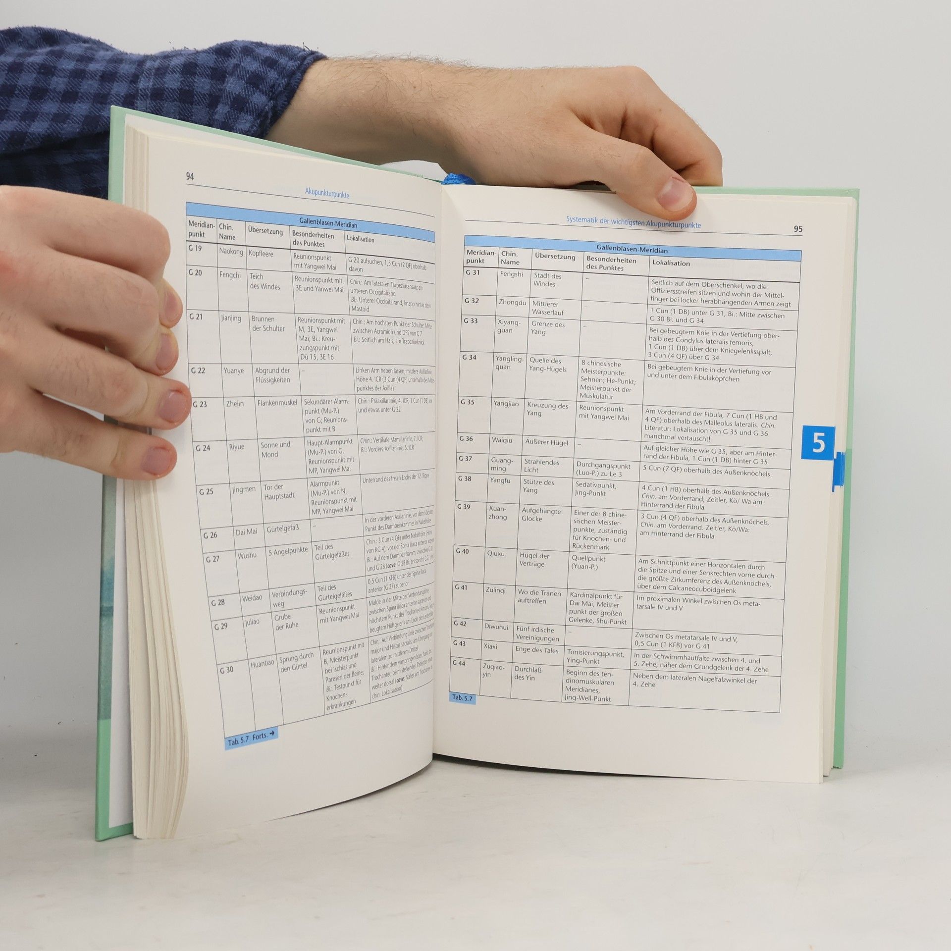 Gertrude Kubiena Therapiehandbuch Akupunktur