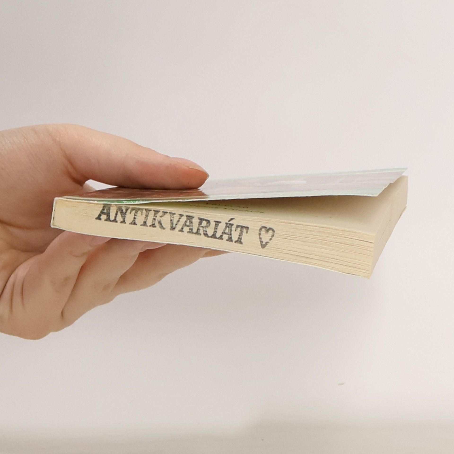 Kate Hewitt Romance v Miláně