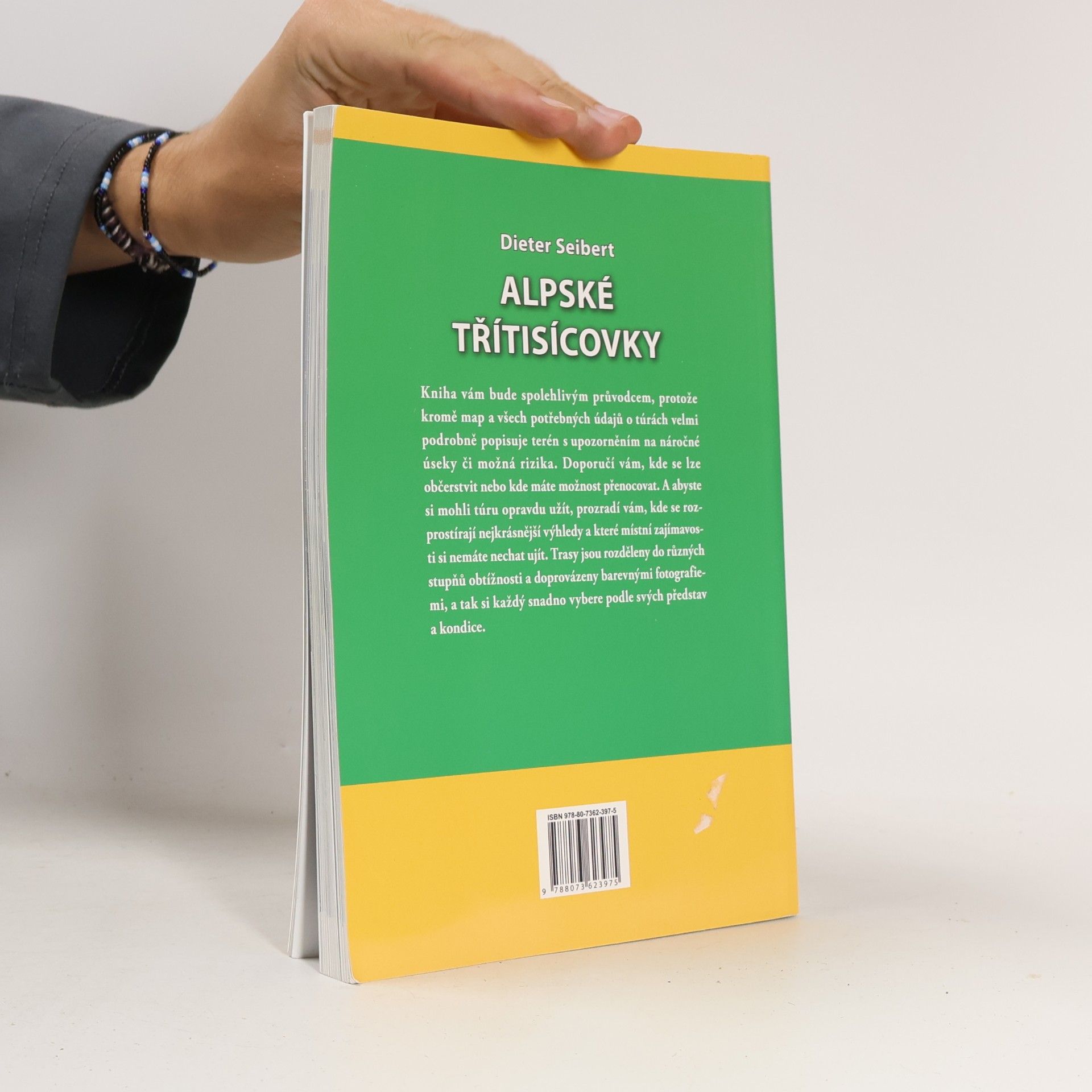 Dieter Seibert Alpské třítisícovky