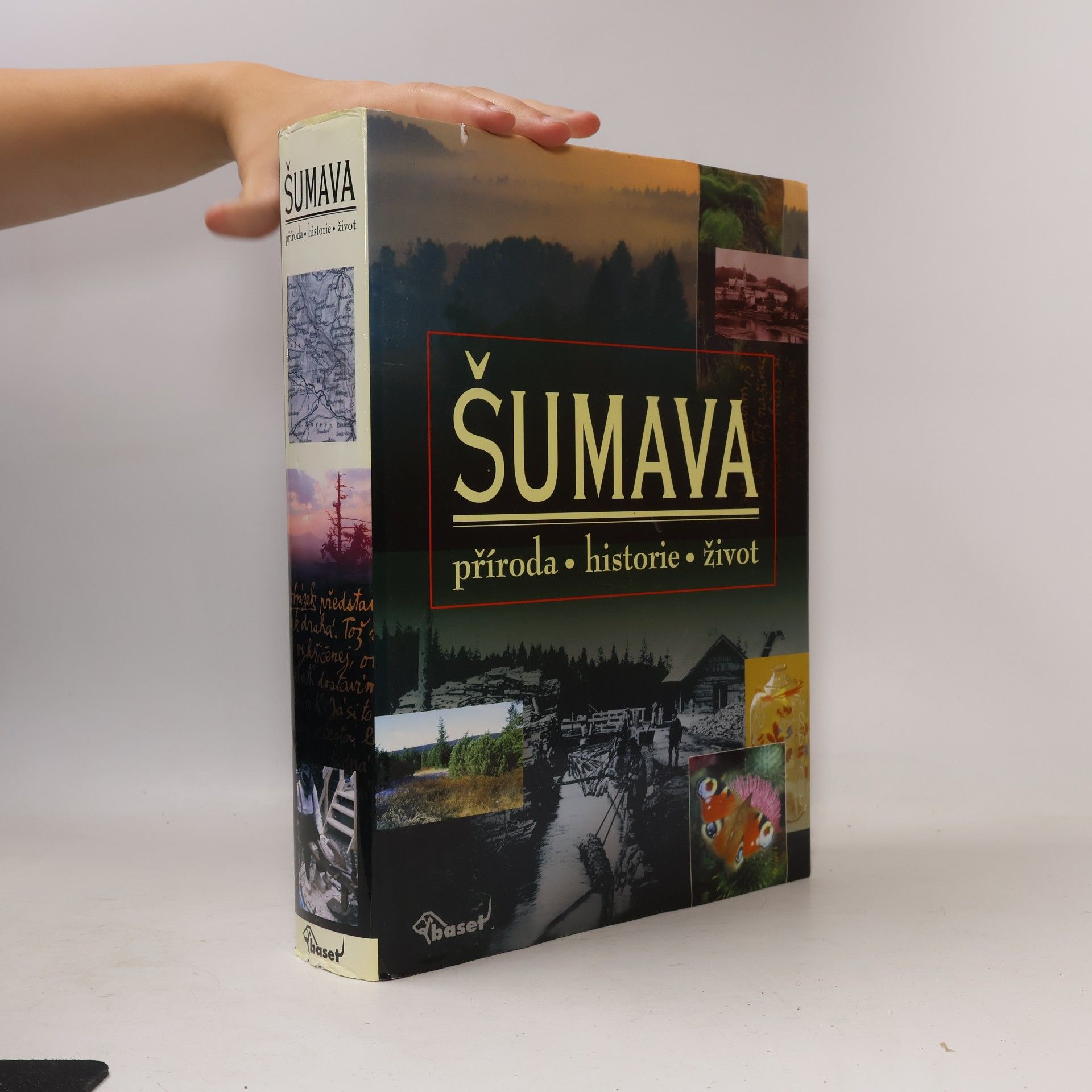 Kolektív autorov Šumava. Příroda, historie, život