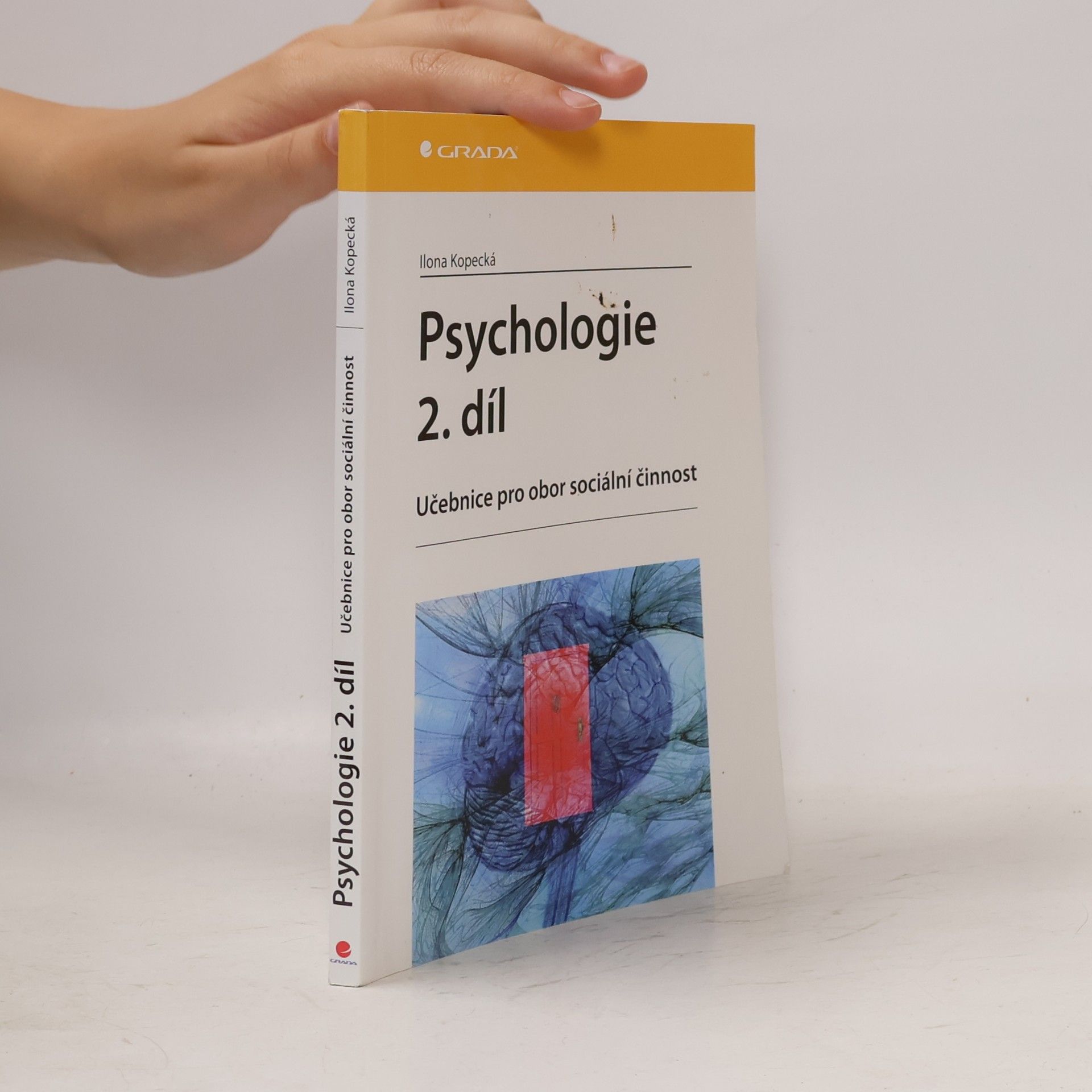 Ilona Kopecká Psychologie : učebnice pro obor sociální činnost. 2. díl