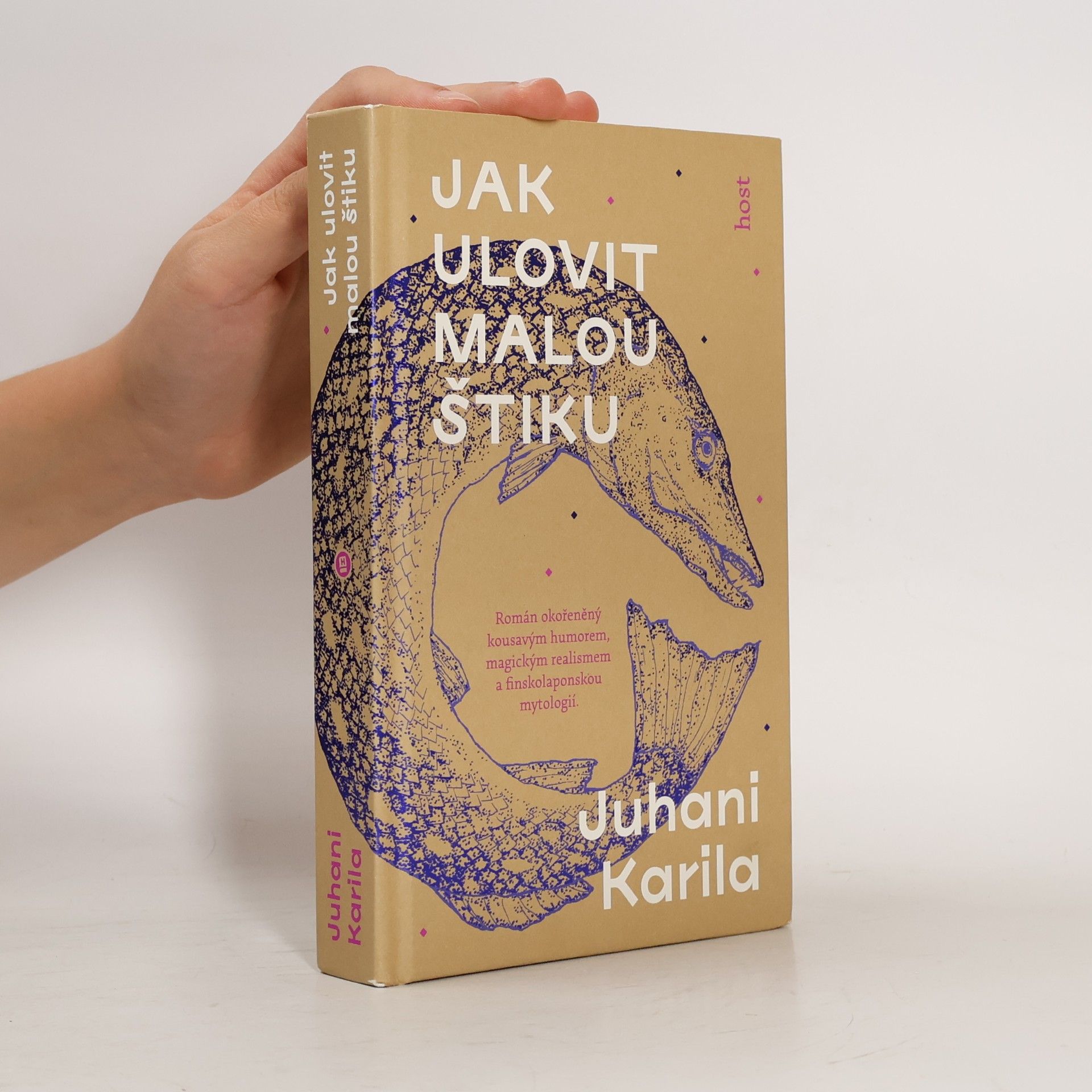 Juhani Karila Jak ulovit malou štiku