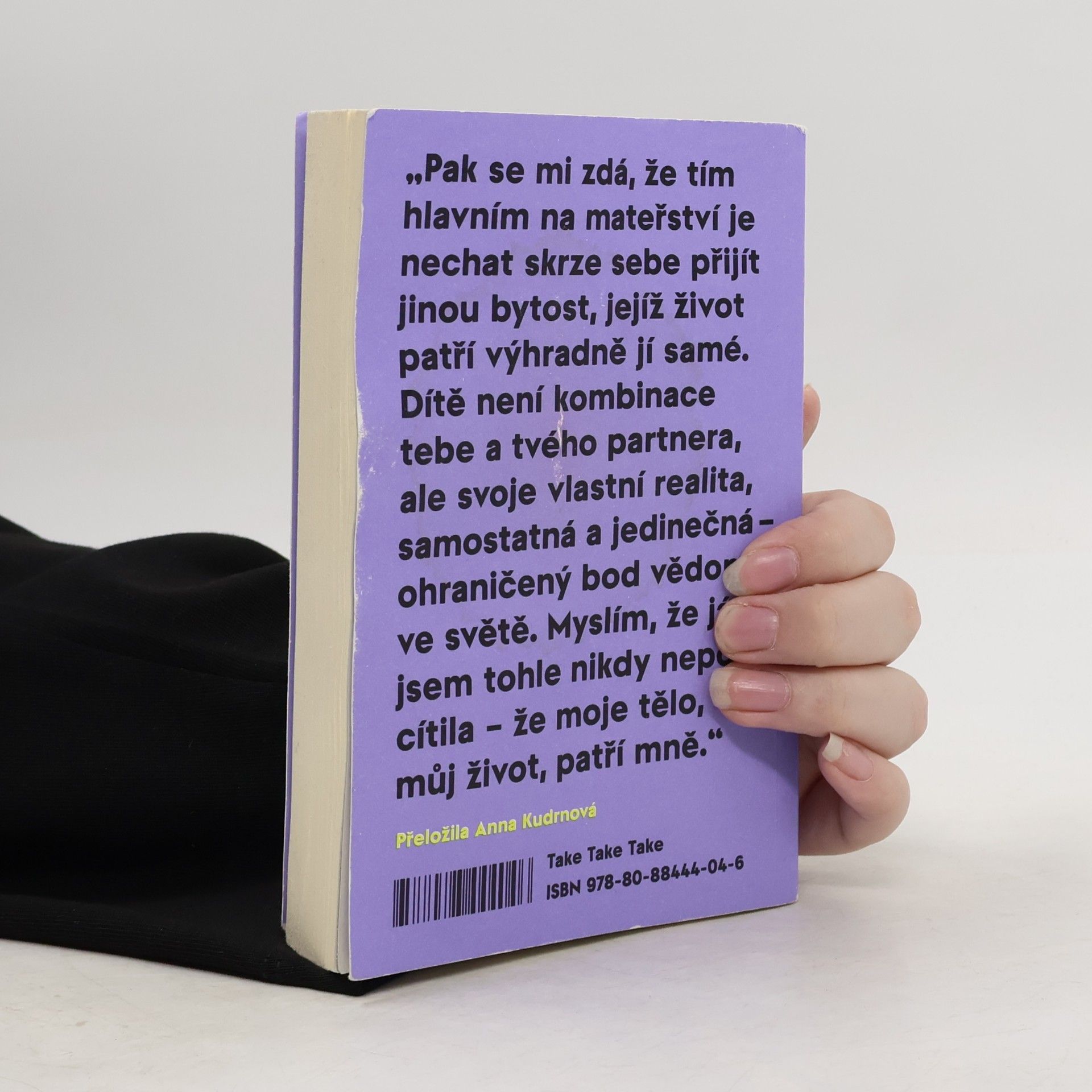 Sheila Heti Mateřství