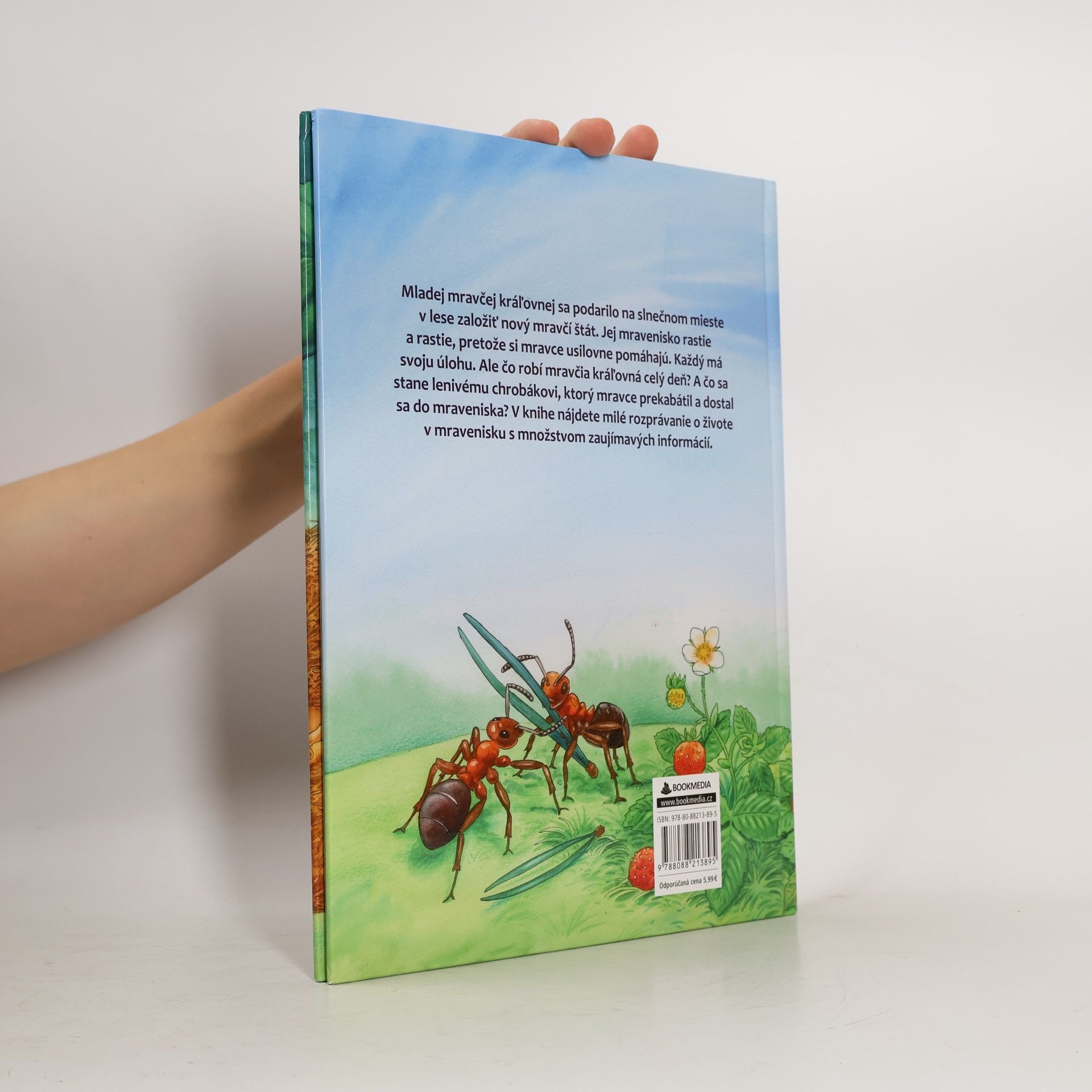 Friederun Reichenstetter Mravce: Ako vyrastajú a žijú