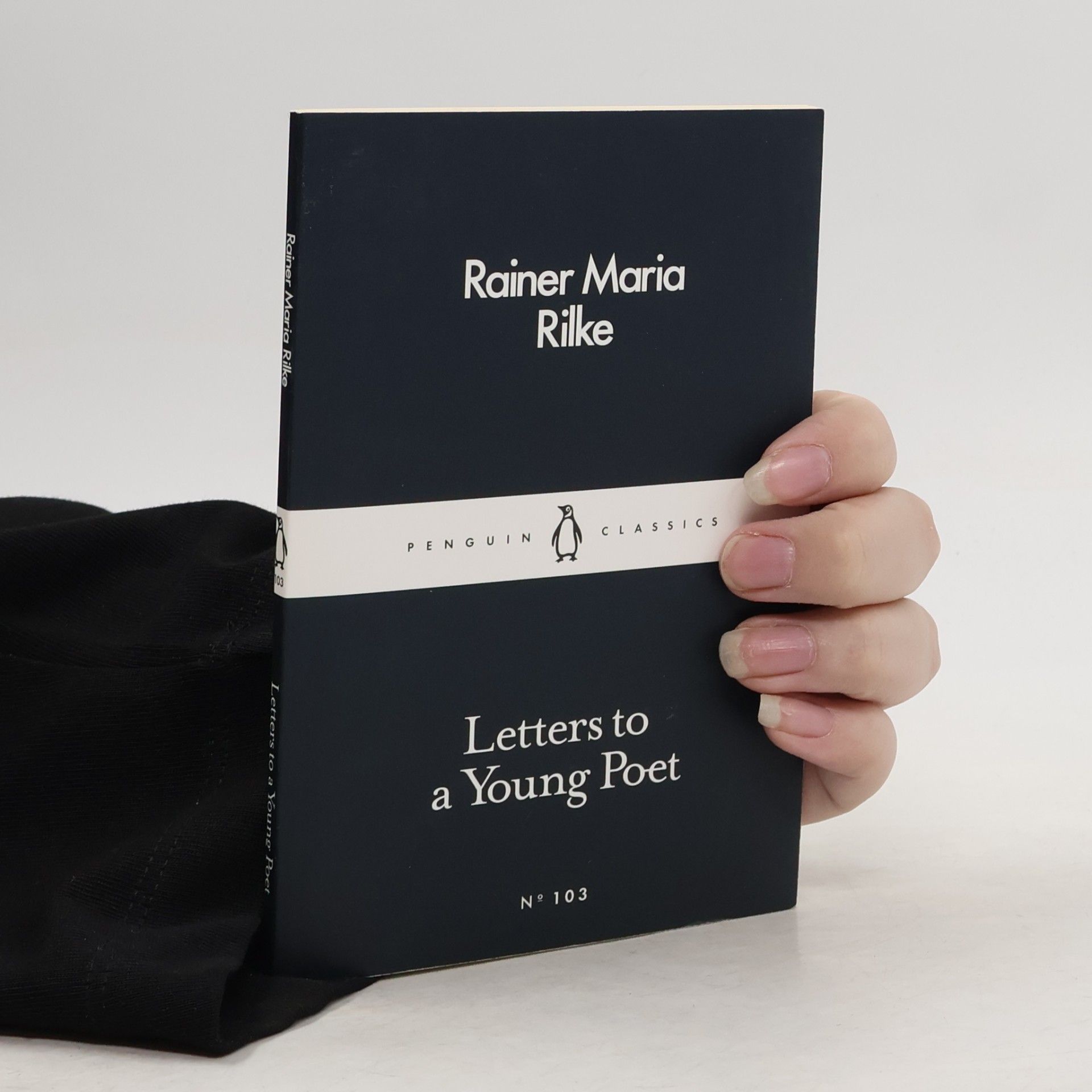 Rainer Maria Rilke Letters to a Young Poet