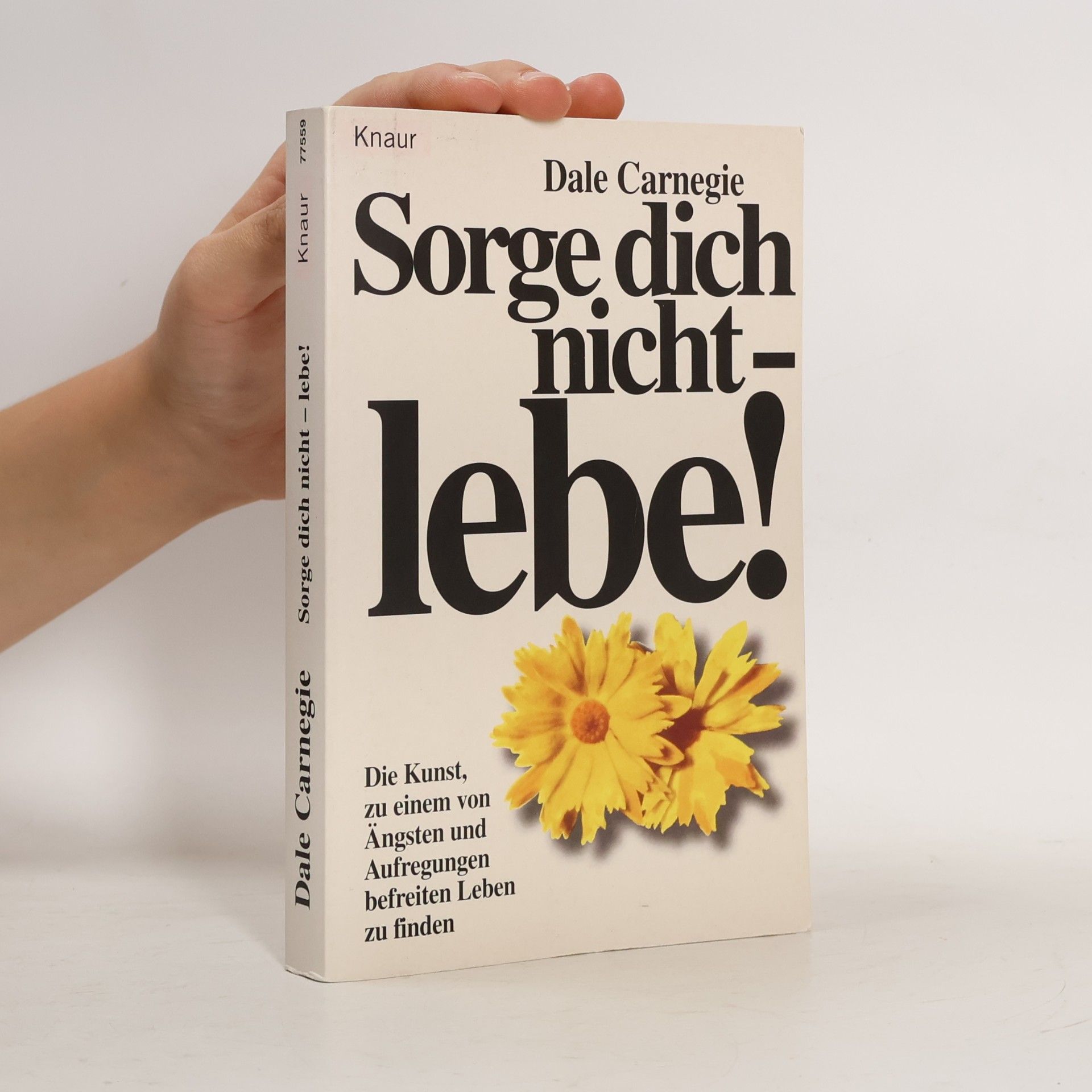 Dale Carnegie Sorge dich nicht - lebe!