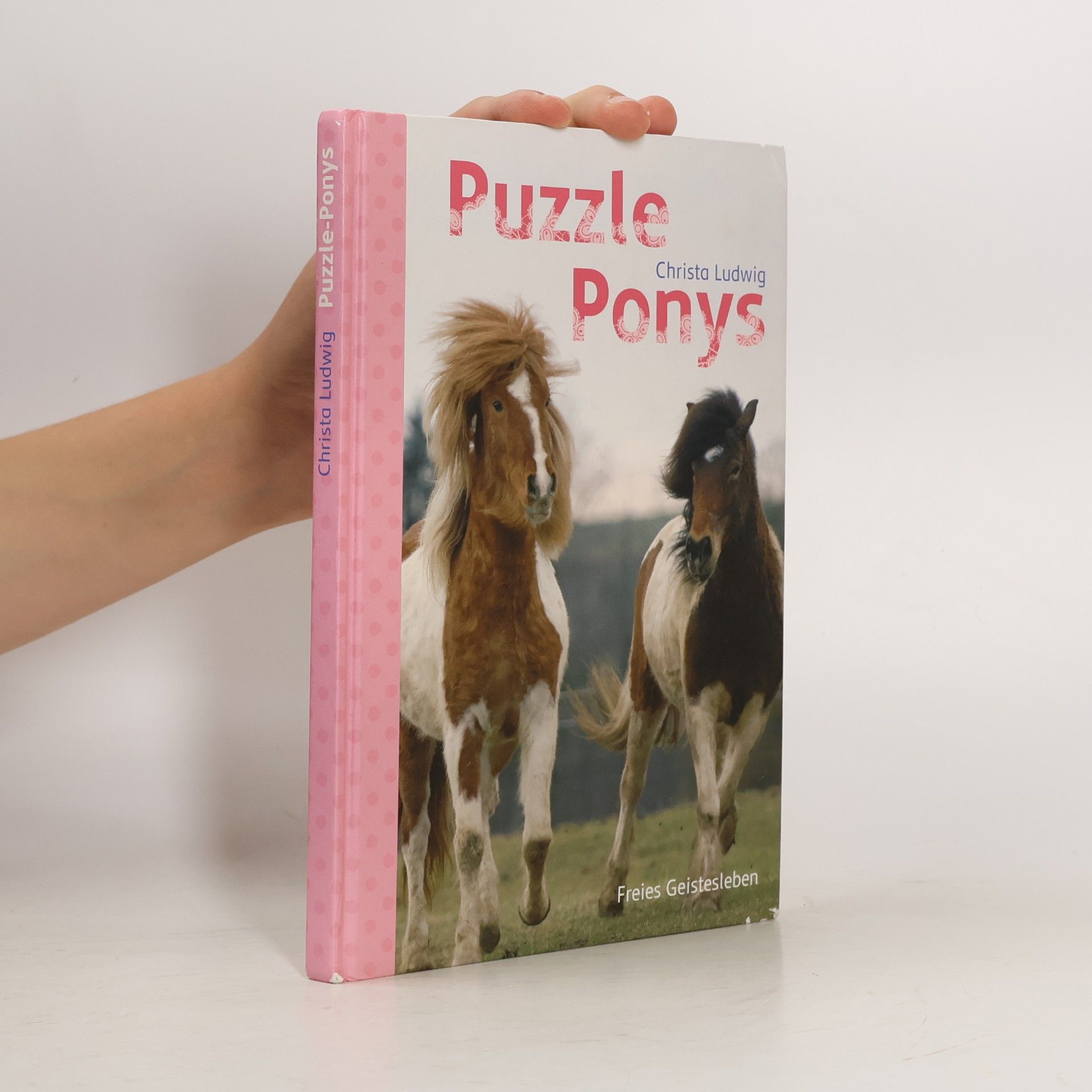 Christa Ludwig Puzzle-Ponys