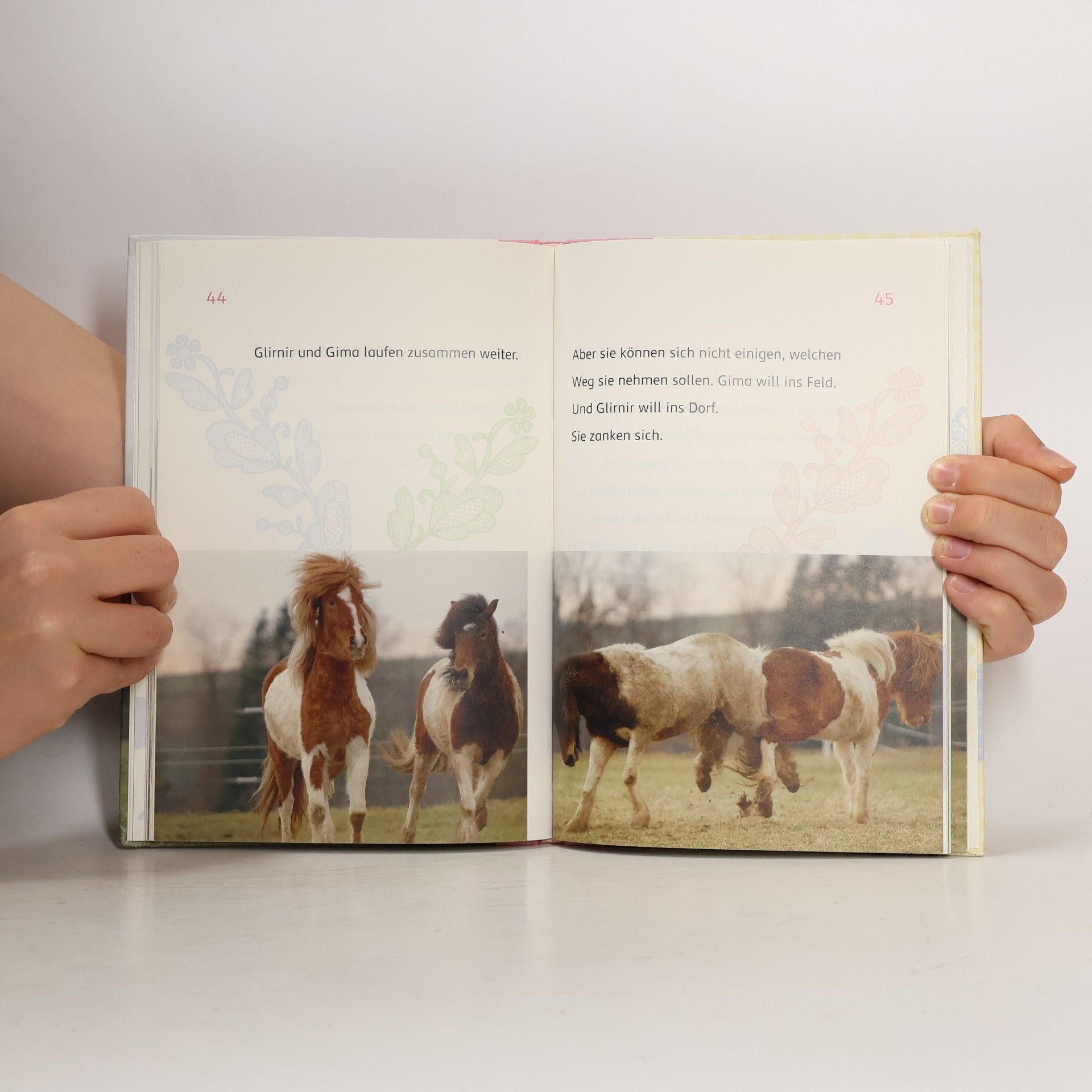 Christa Ludwig Puzzle-Ponys