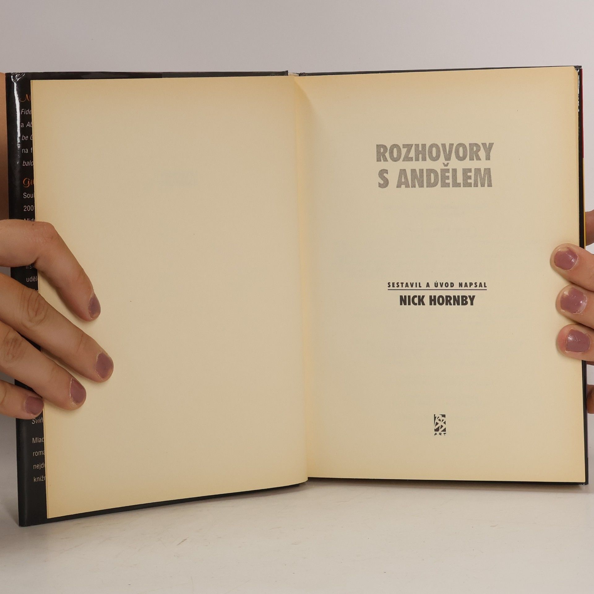 Nick Hornby Rozhovory s andělem