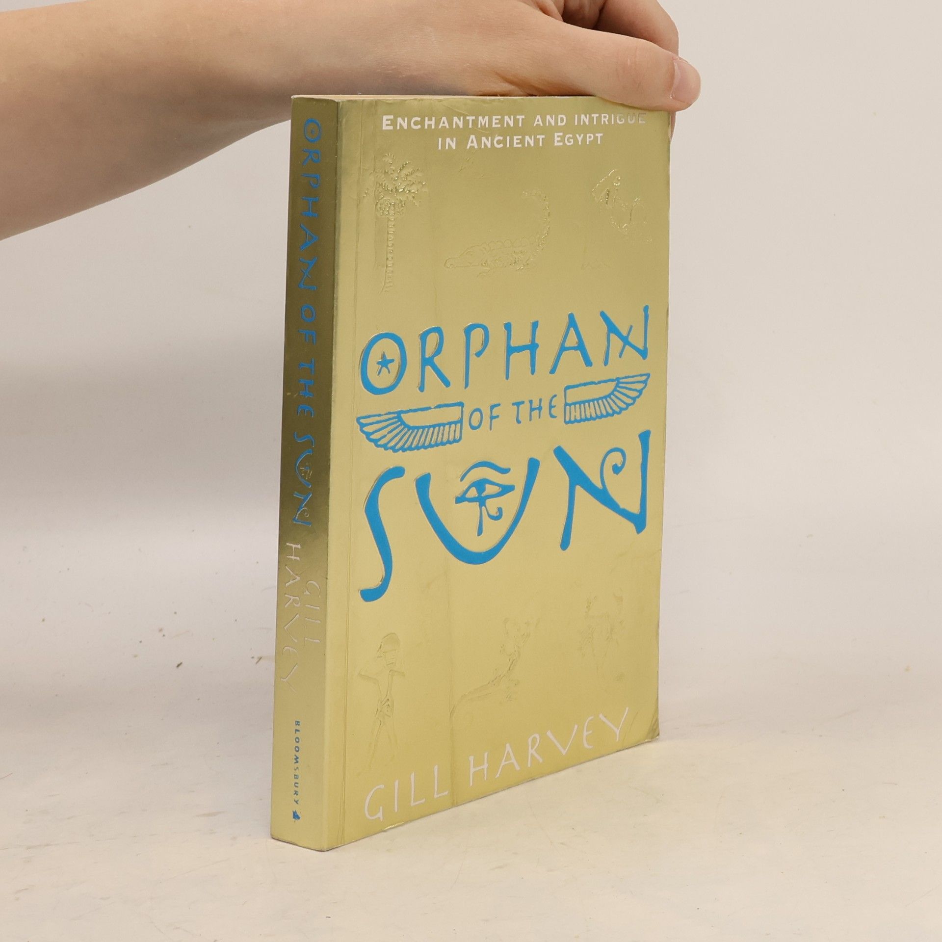 Gillian Harvey Orphan of the Sun