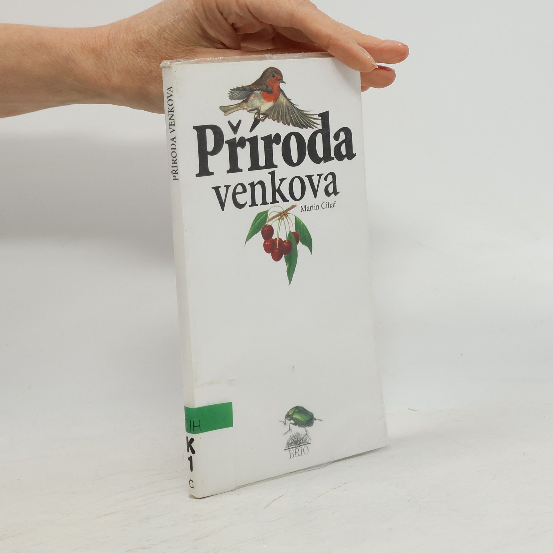 Grigorij Borisovič Jagdfeld Příroda venkova