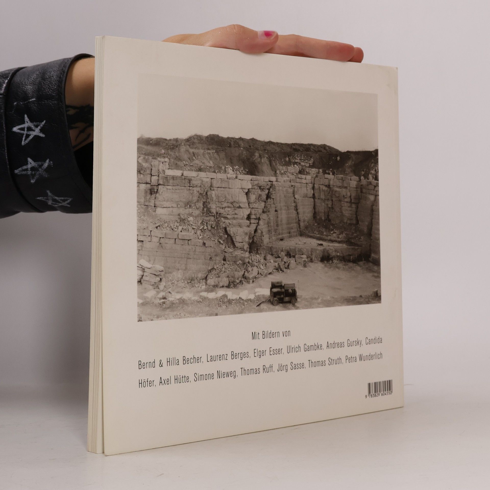 Ulrich Pohlmann Die Düsseldorfer Schule Photographien aus der Sammlung Lothar Schirmer
