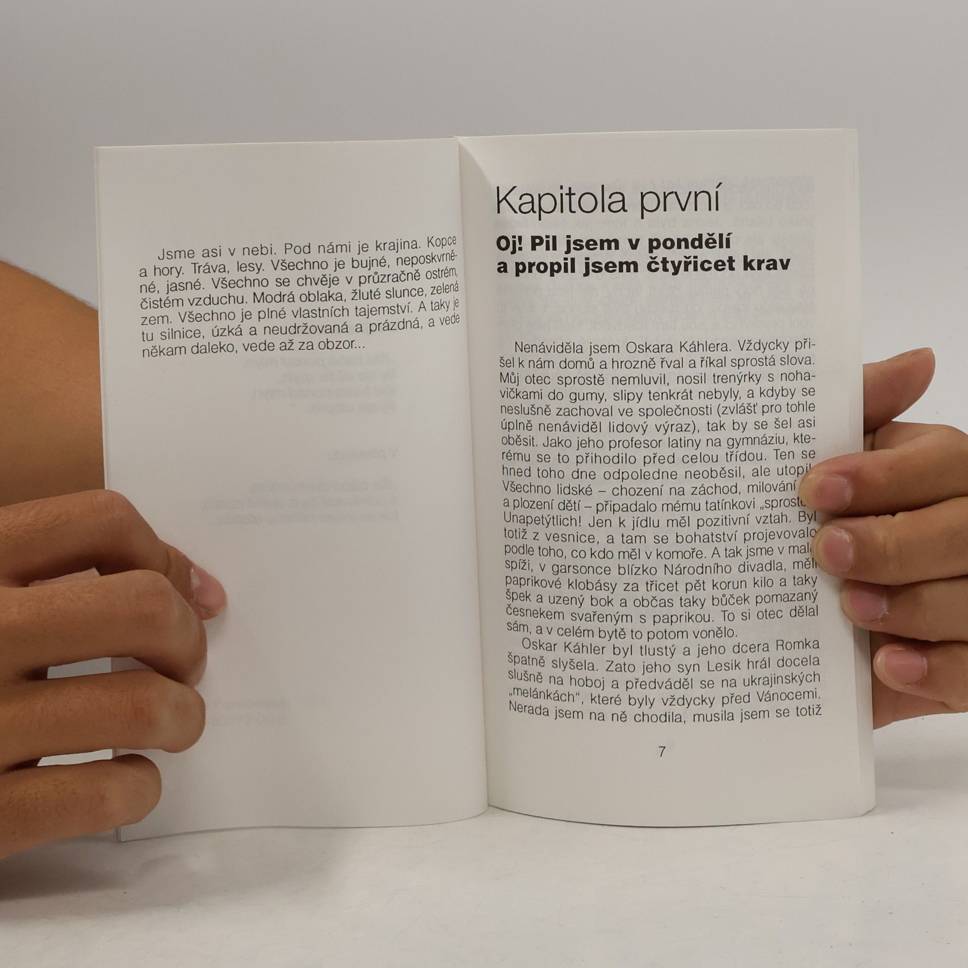 Halina Pawlowská Díky za každé nové ráno
