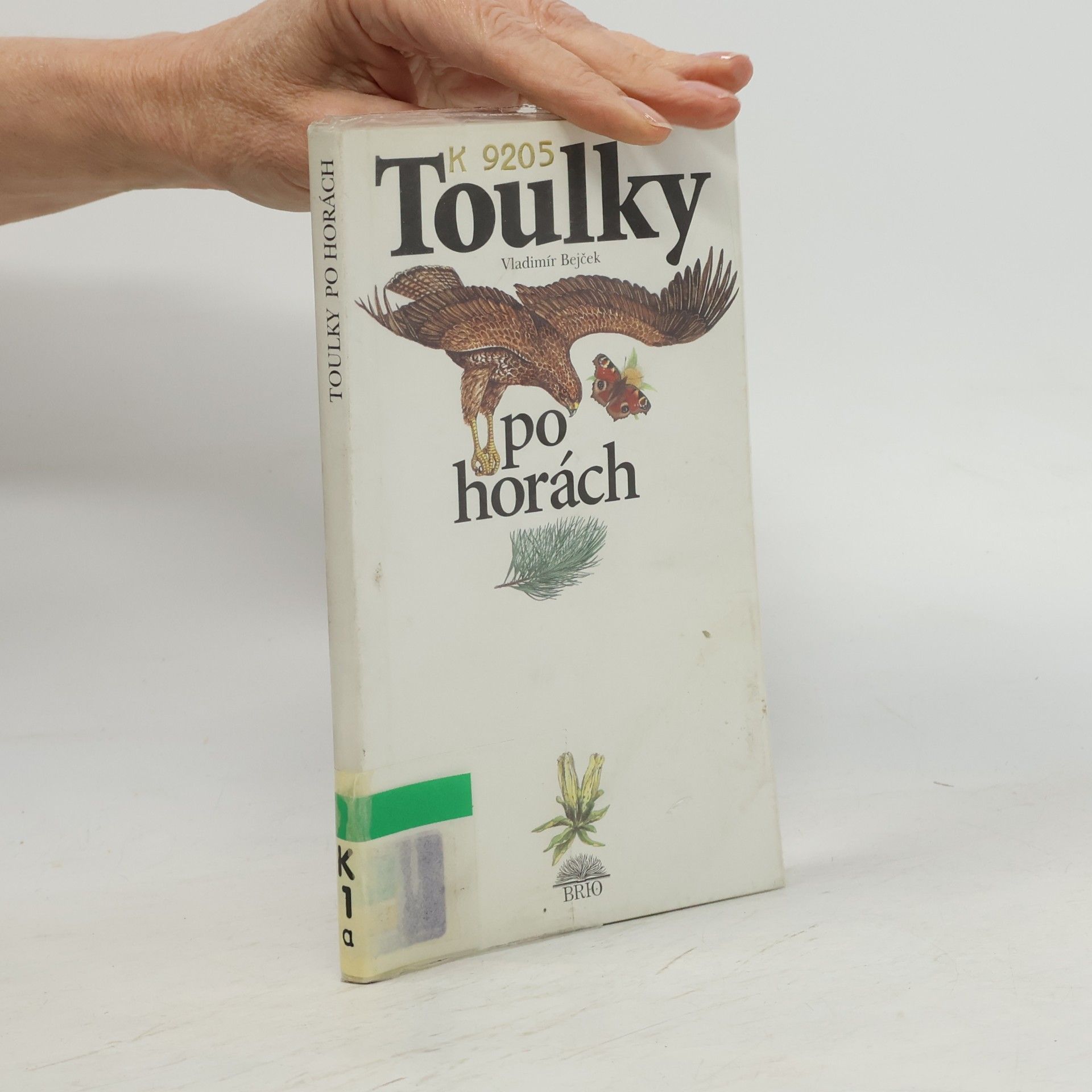 Vladimír Bejček Toulky po horách
