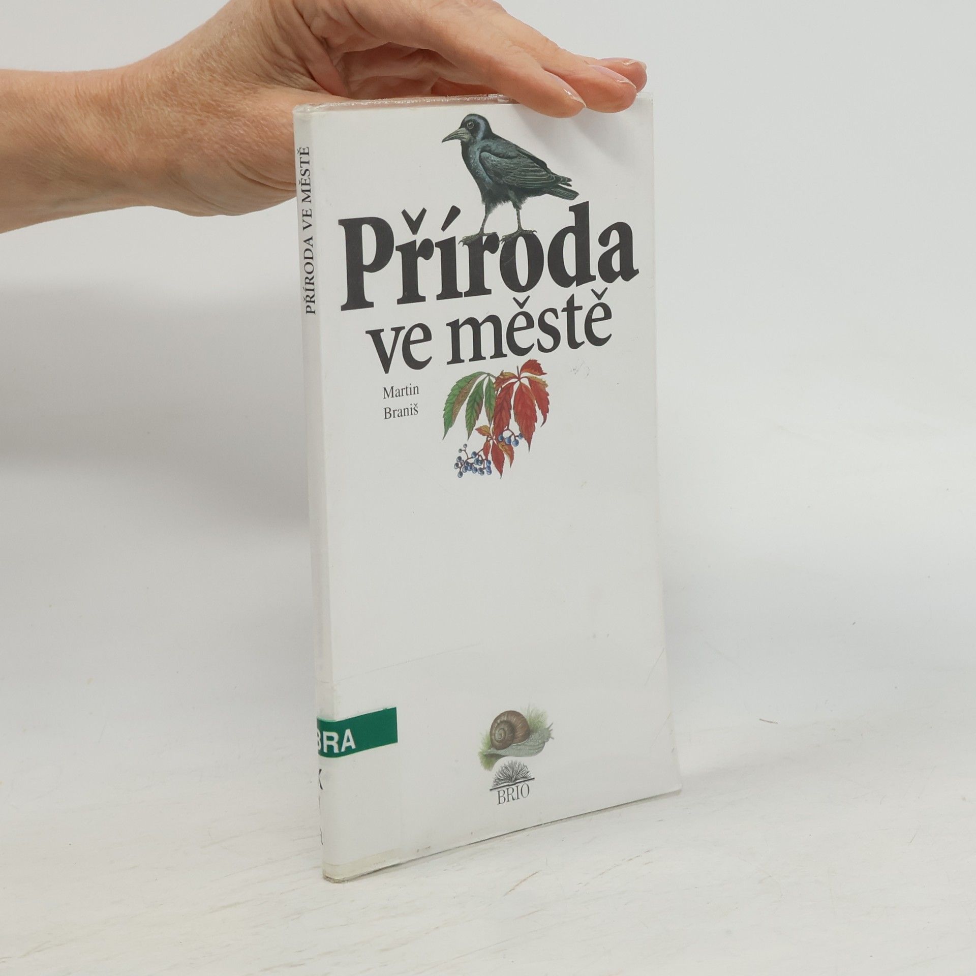 Naděžda Kotrčová Příroda ve městě