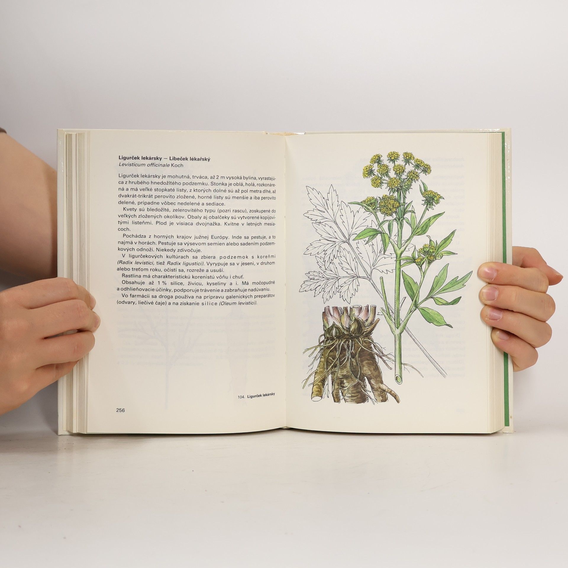 Jan Macků Atlas liečivých rastlín