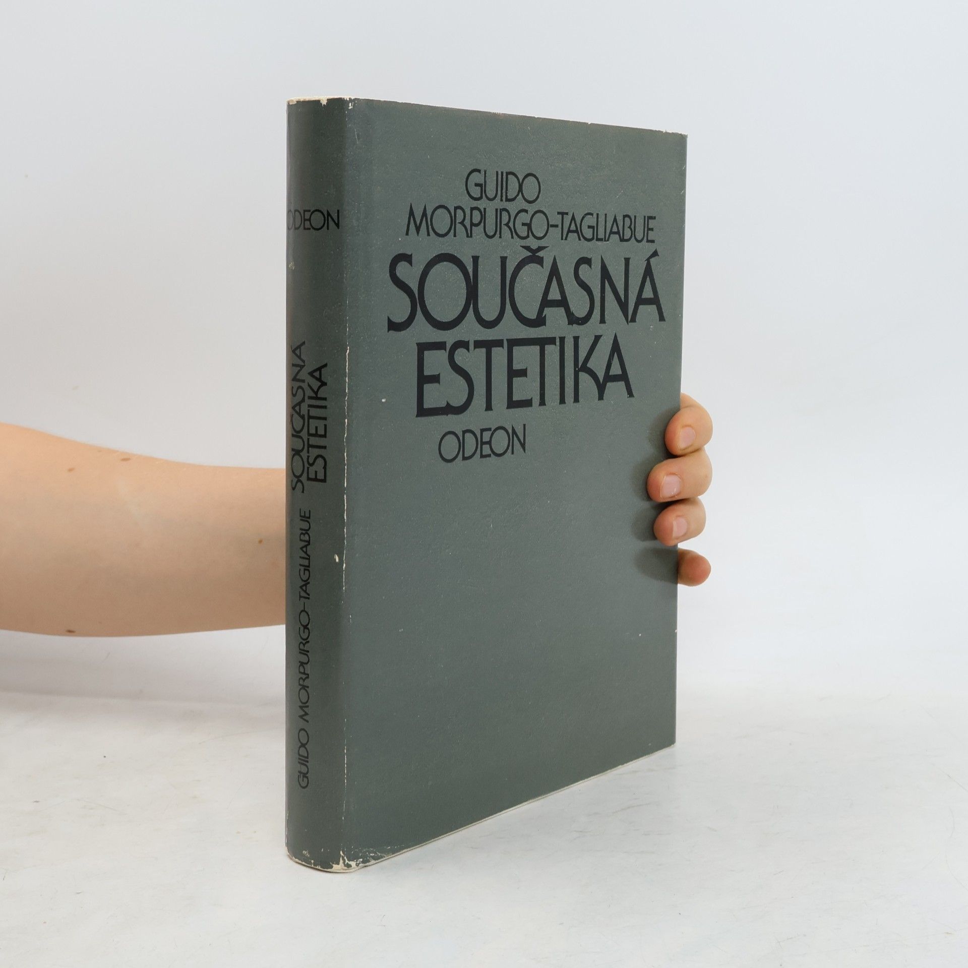 Guido Morpurgo Tagliabue Současná estetika