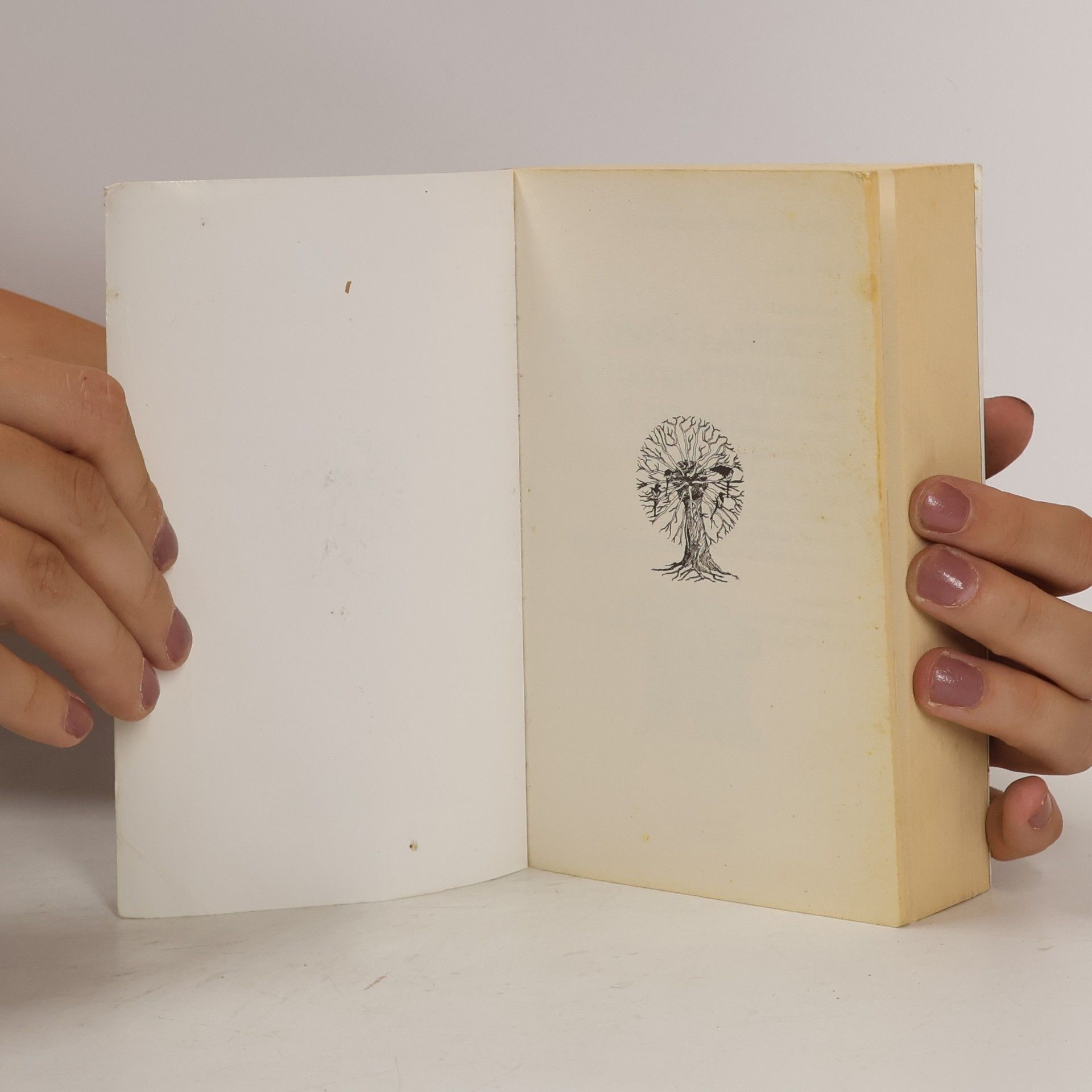 Autorenkollektiv Žoldnéři fantazie: sborník fantasy povídek: Inteligentní ledovce a jiné zrůdy