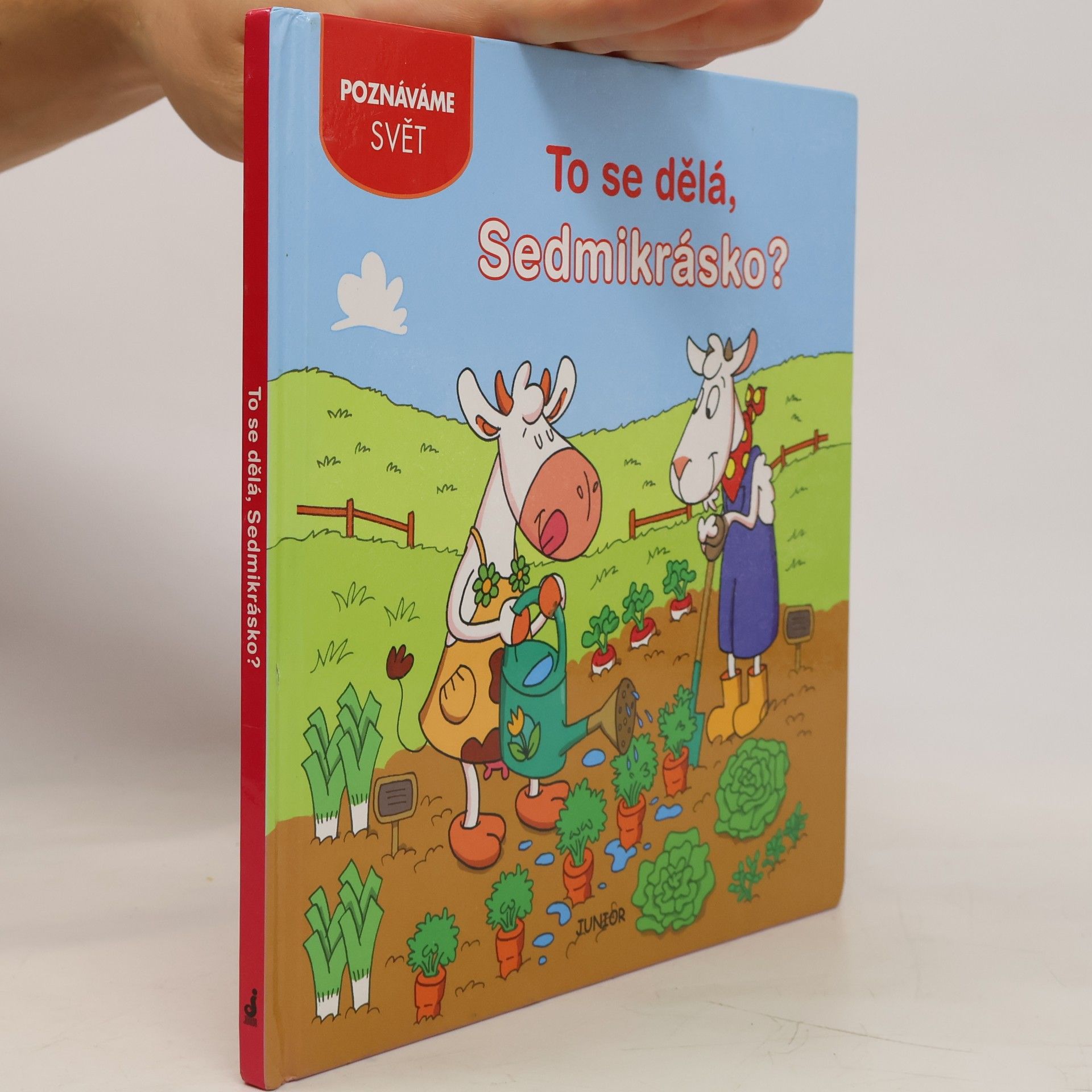 Autorenkollektiv To se dělá, Sedmikrásko?
