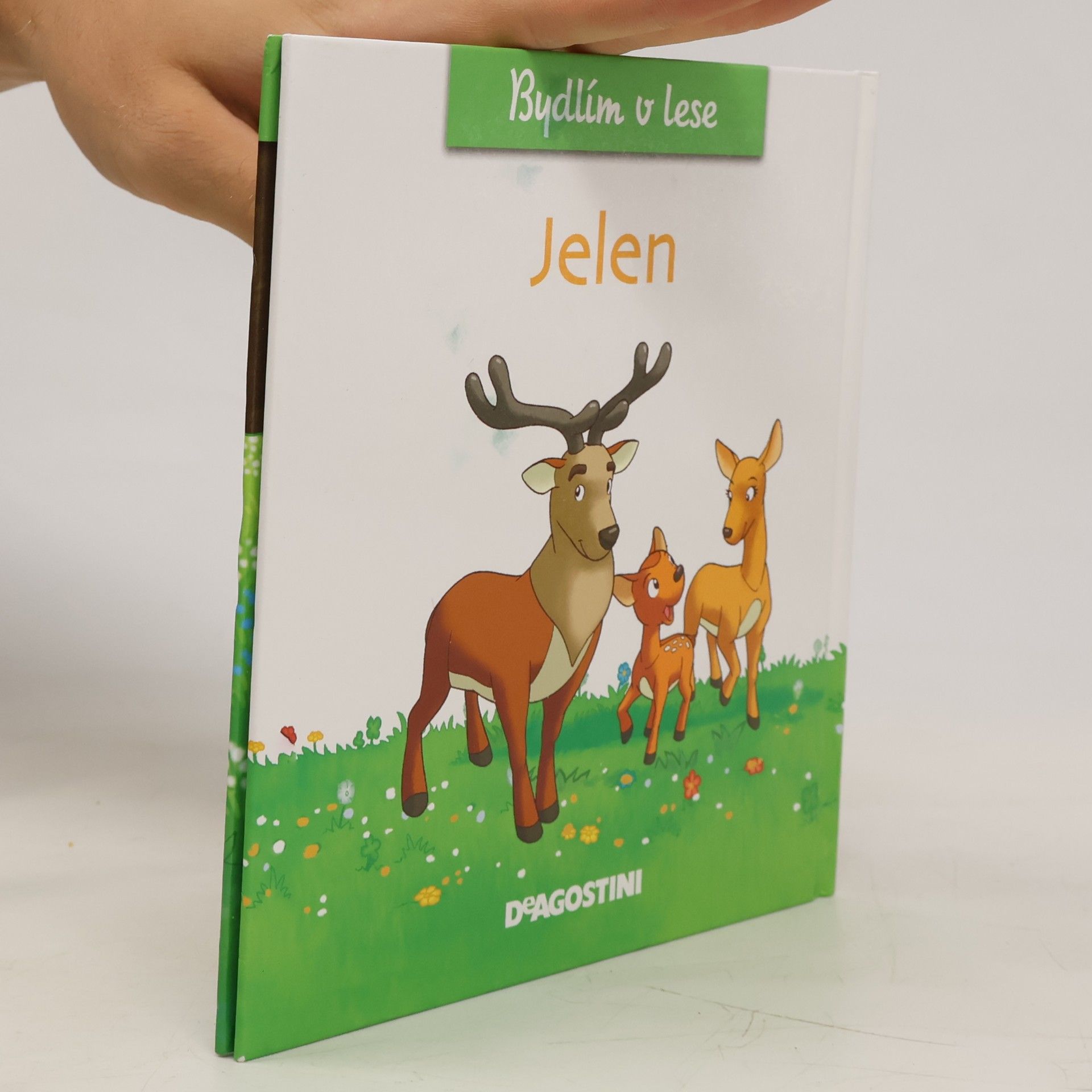 Autorenkollektiv Bydlím v lese 1. Jelen
