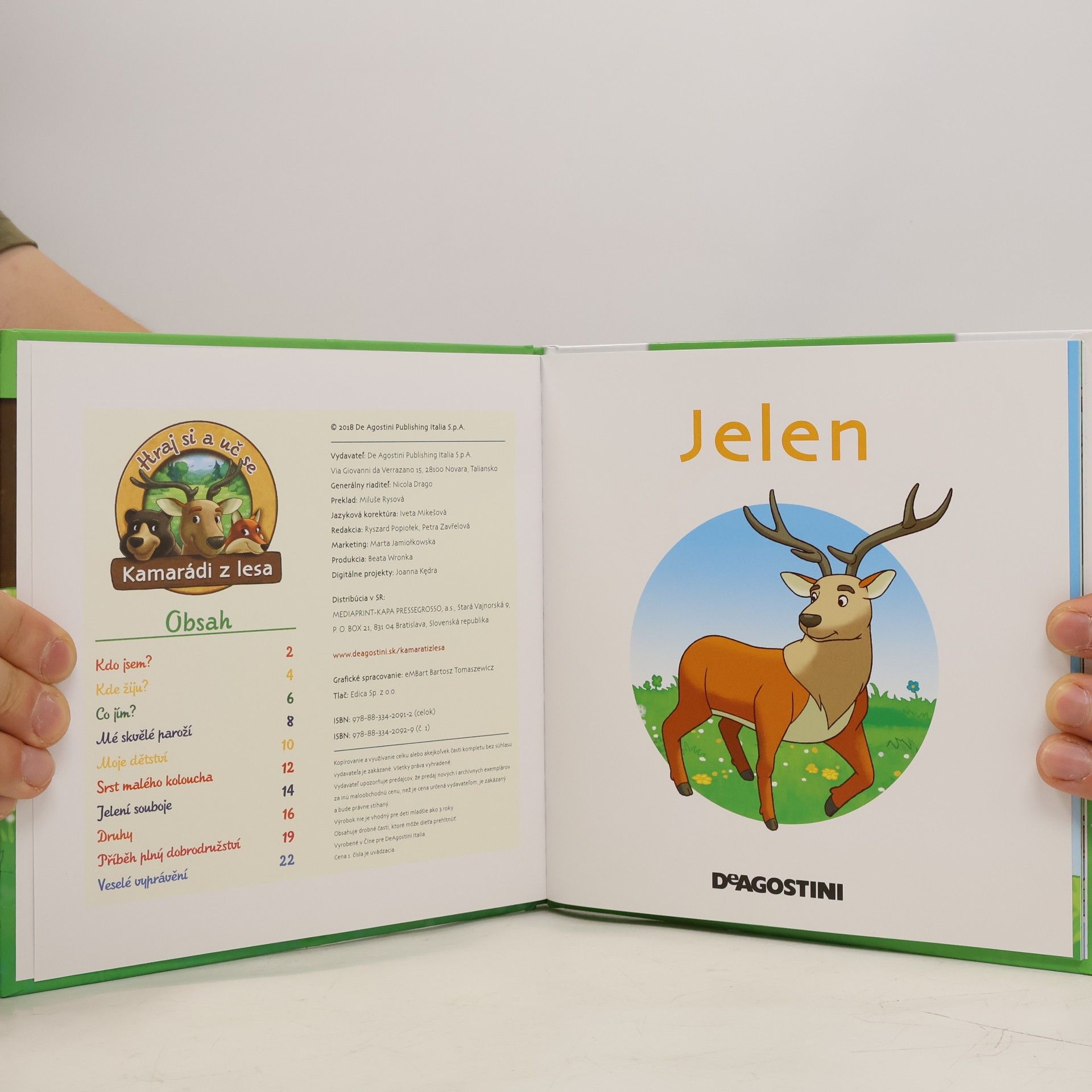 Autorenkollektiv Bydlím v lese 1. Jelen