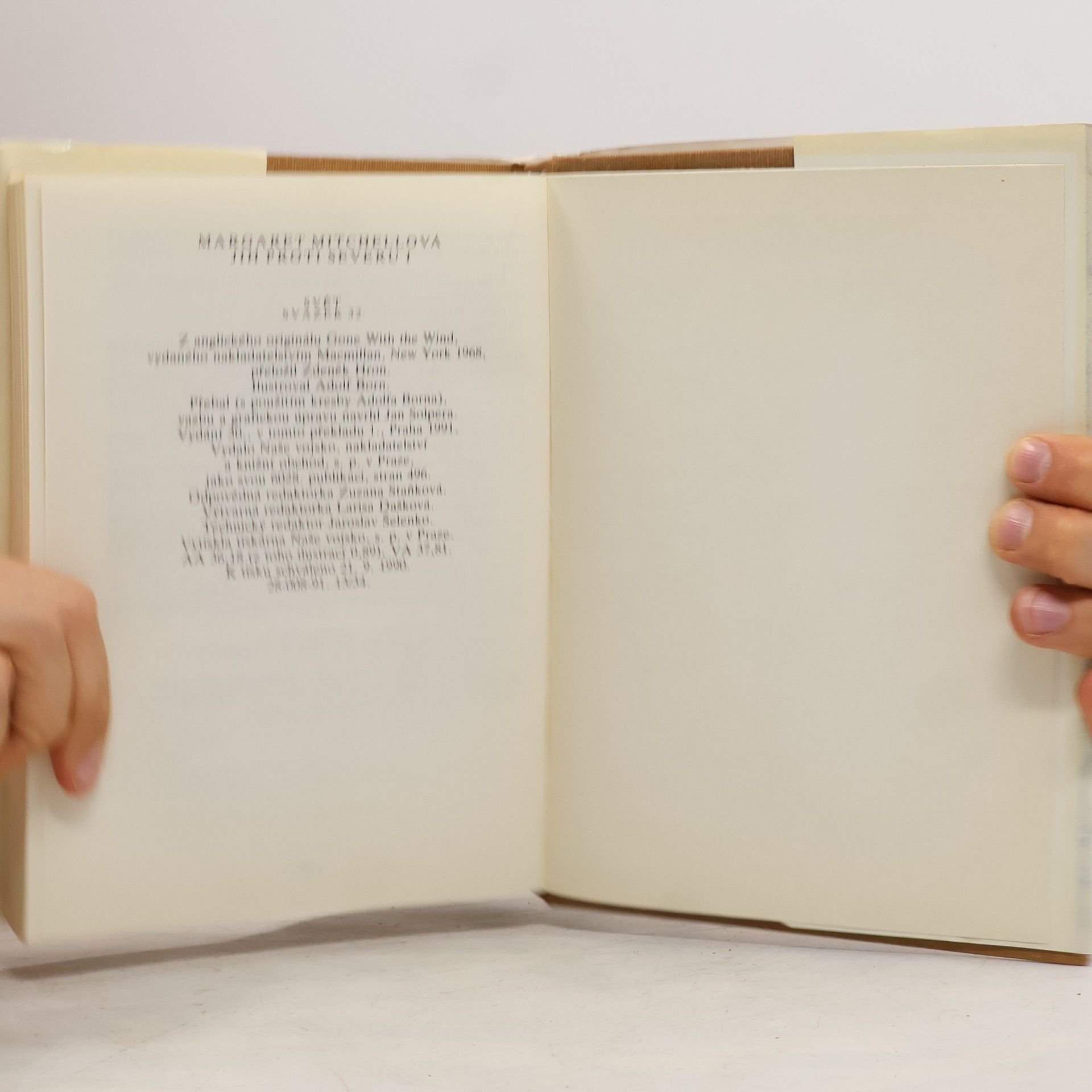 Margaret Mitchell Jih proti Severu I.